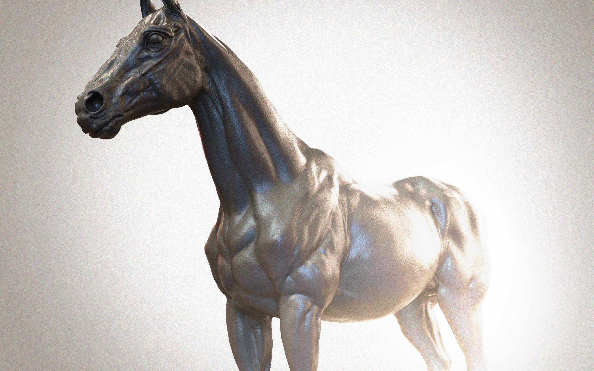 Horse_1