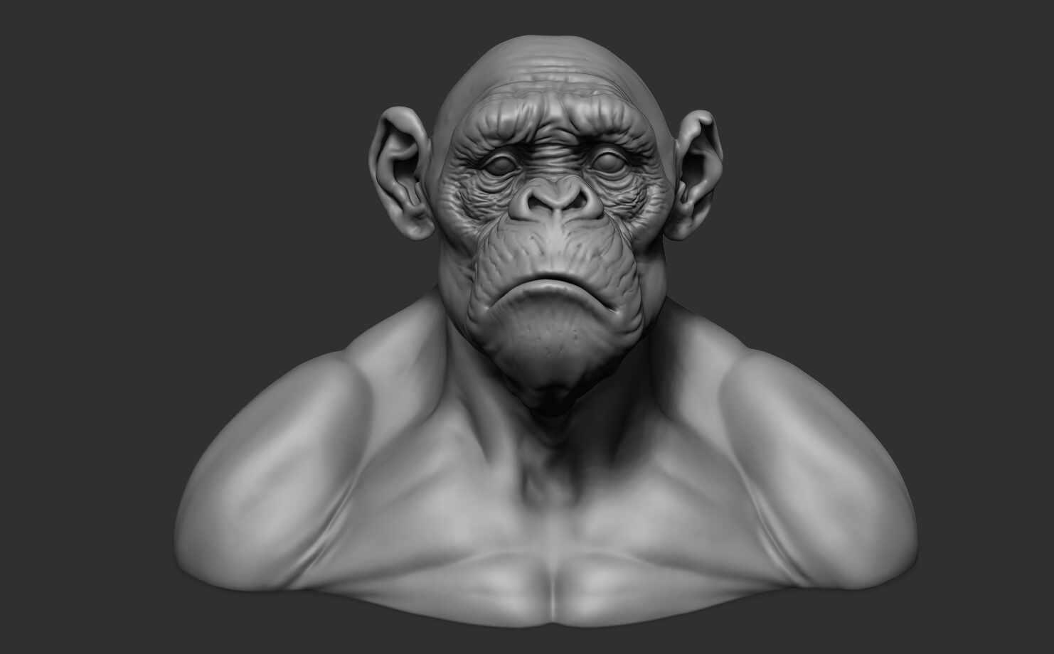 monkey_022