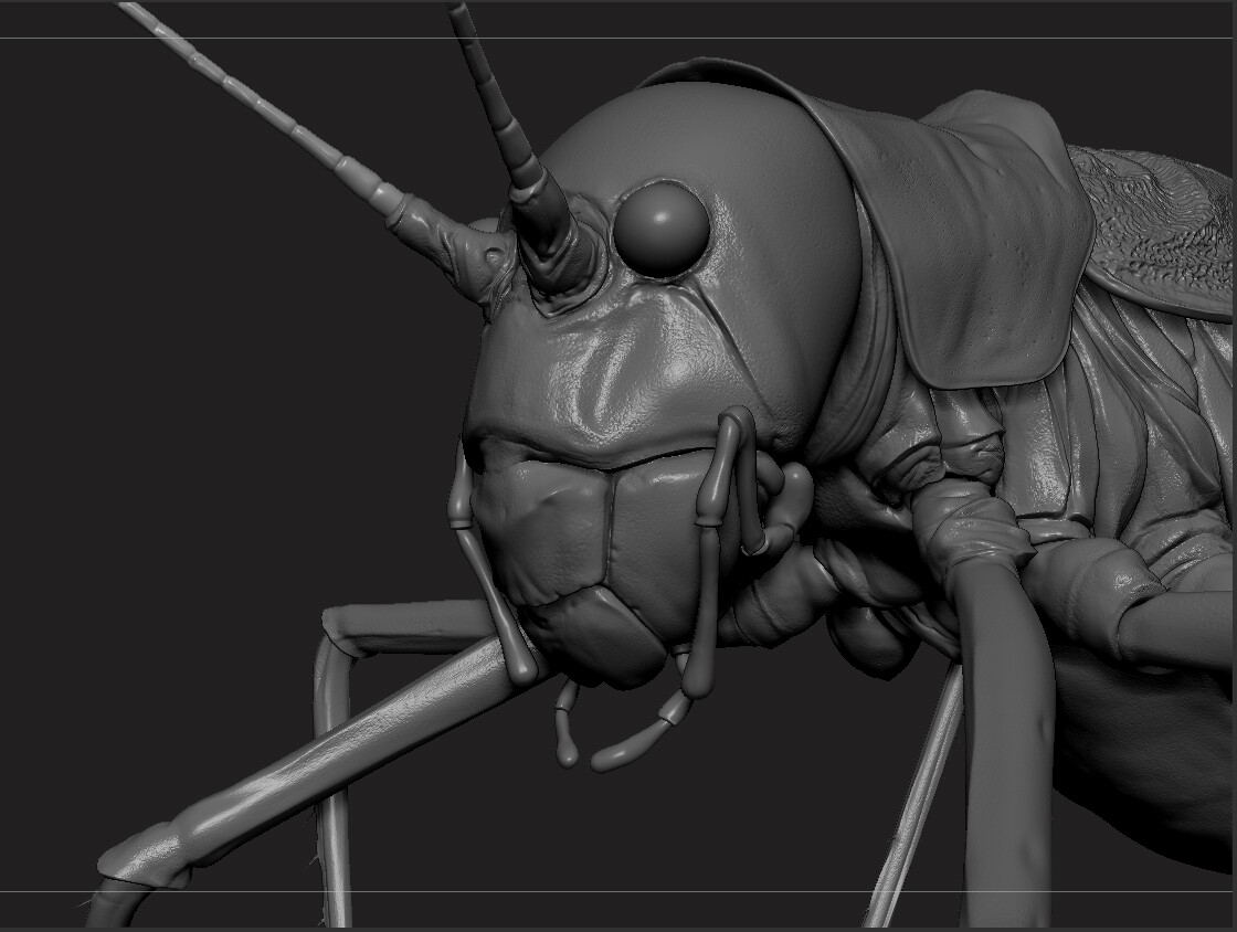 eric-keller-b-vicentinus-zbrush-04