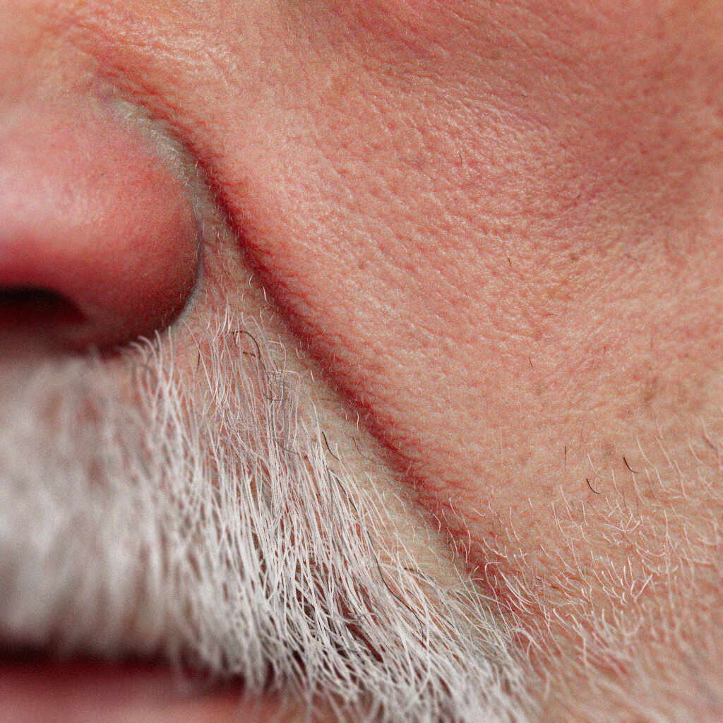 freud by vahid ahmadi1