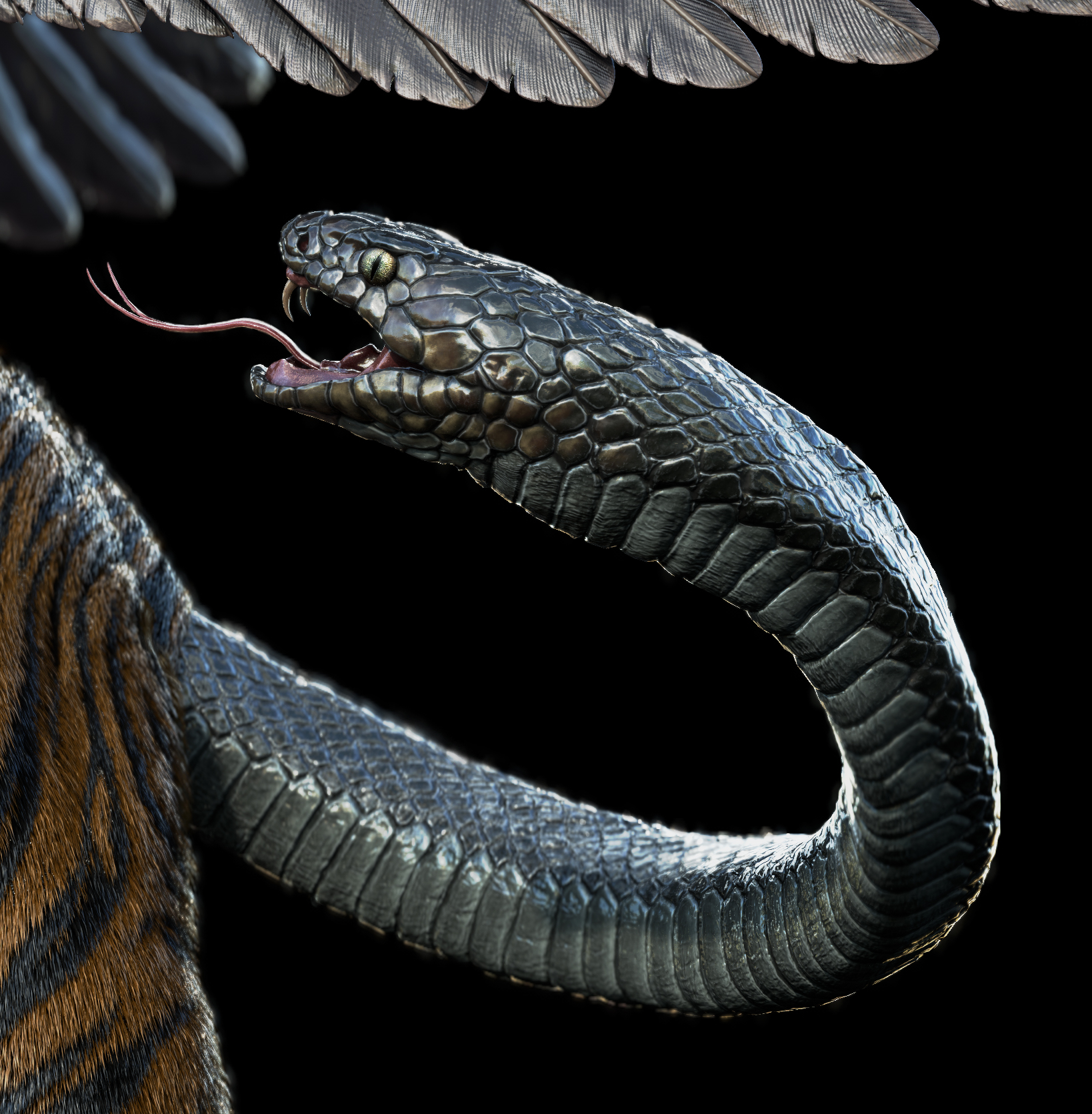 Nue_01_Pose_02_SP_Trim_02