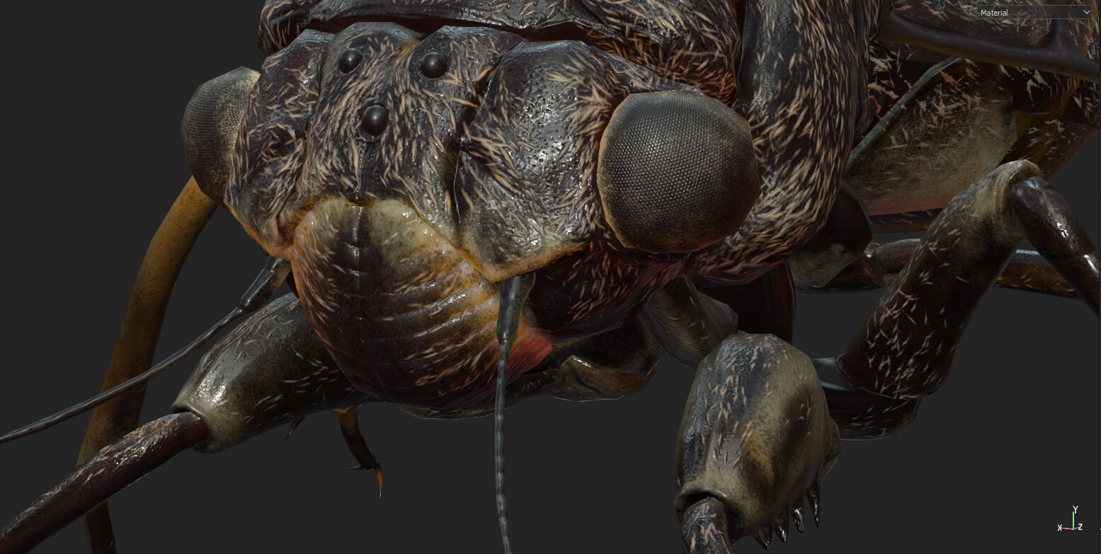 eric-keller-cicadaadult-textured-07