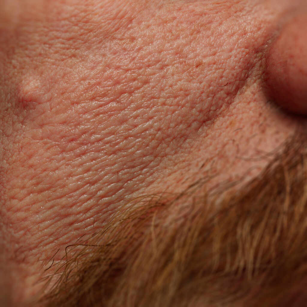 dostoevsky by vahid ahmadi 6v