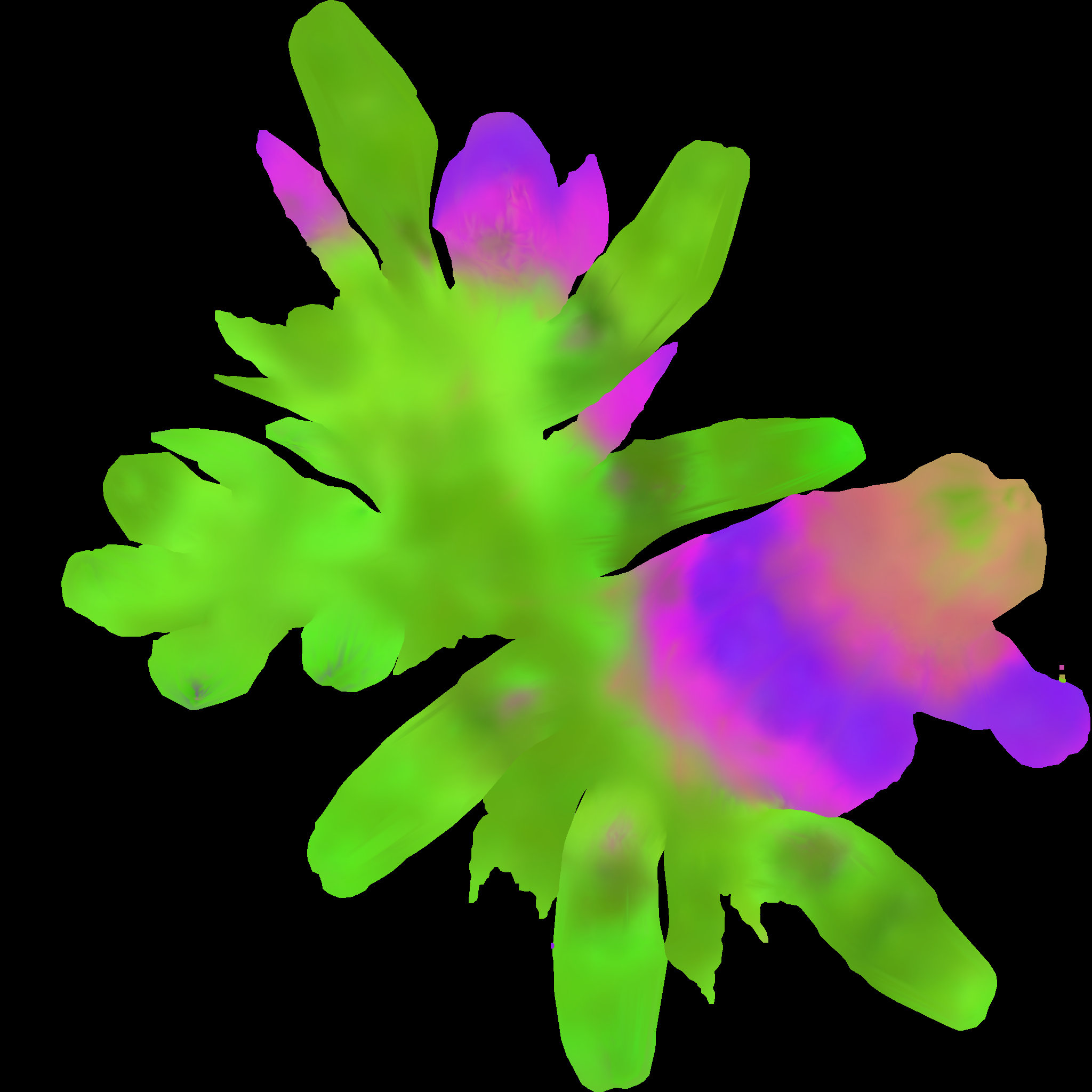 4TentMonst1LowZtlExMAP_u1_v1