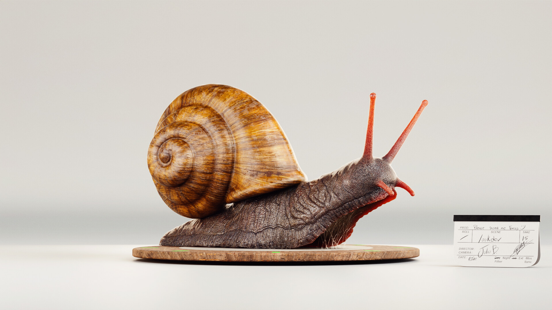 julio-benavides-snail-00005