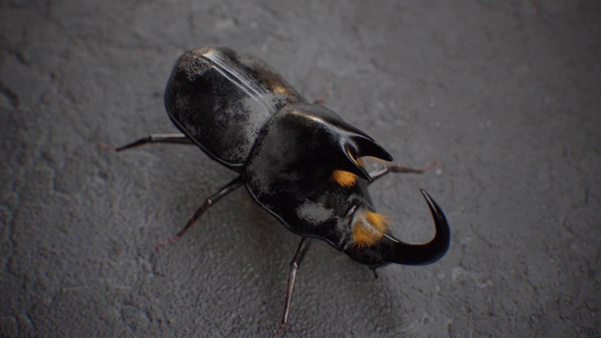 diego-viegas-tbrender-020