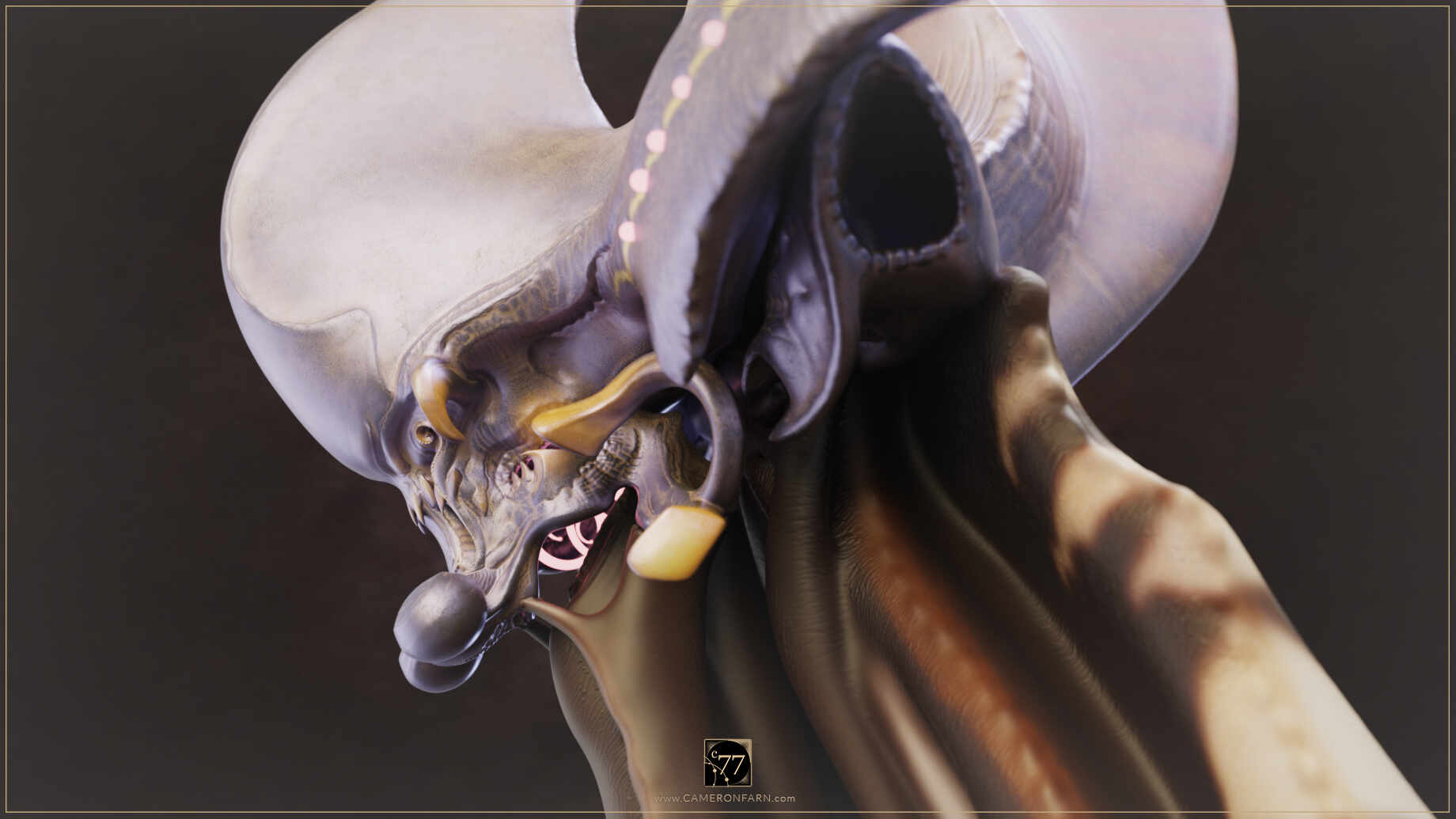 C77-WORS-Sml-InPro_0008_www.CAMERONFARN.com