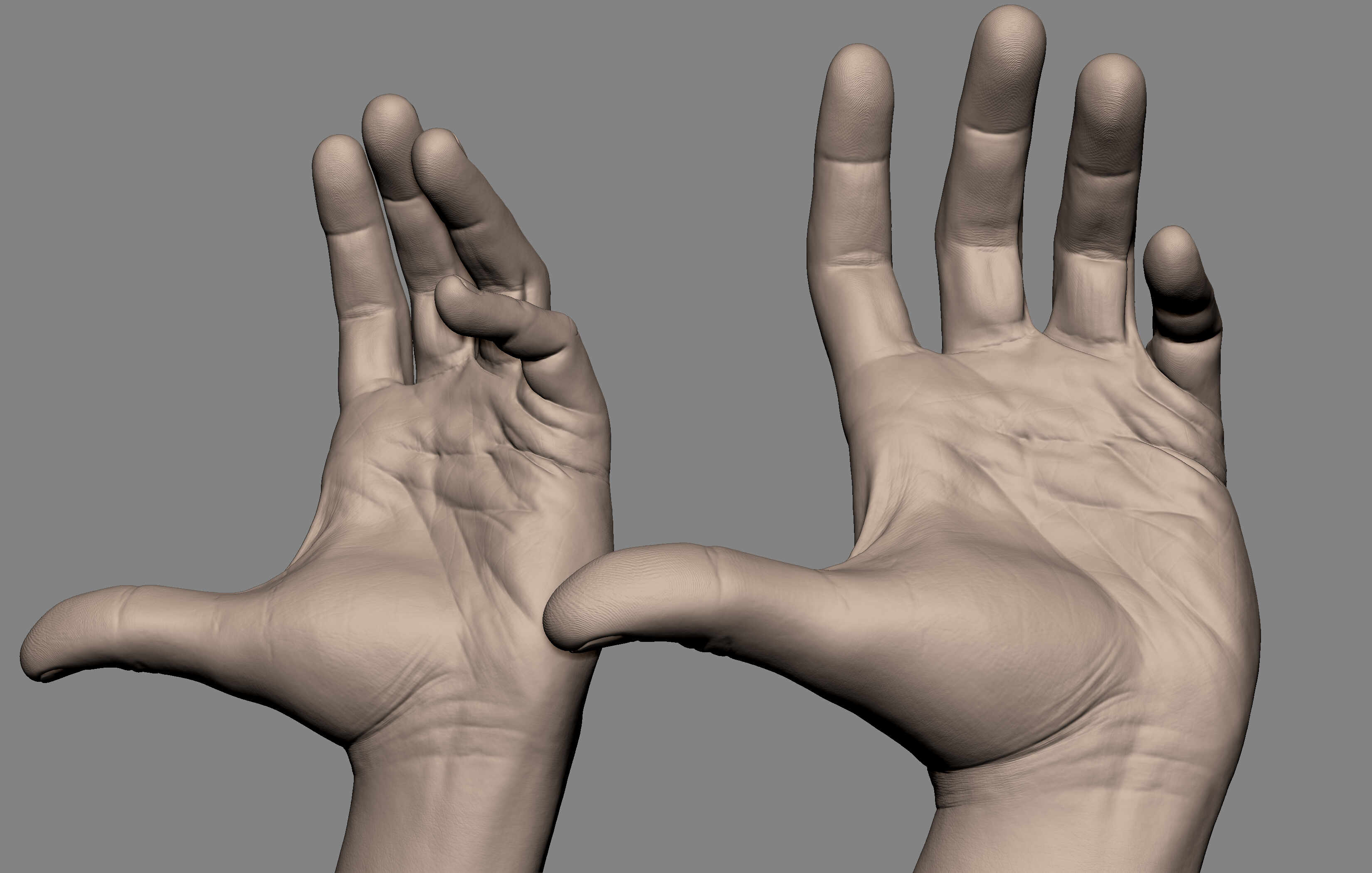 hand_details_Zbrush