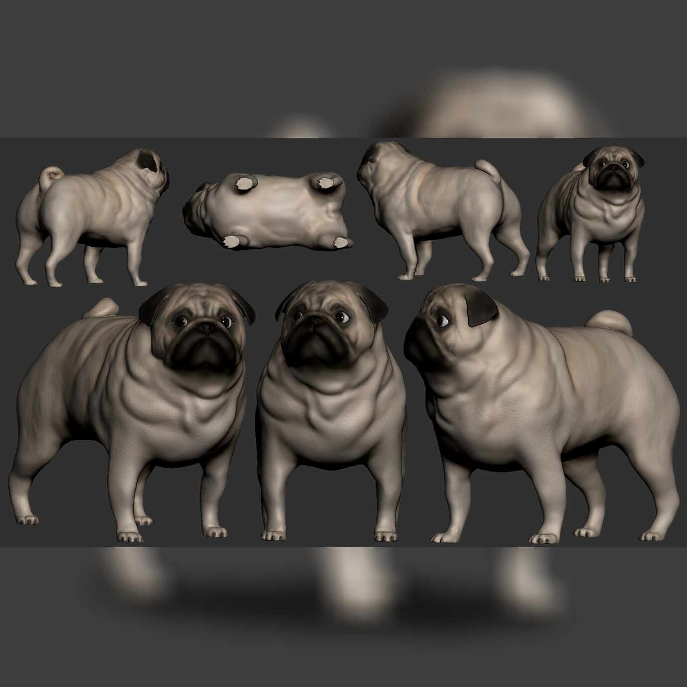 pug02