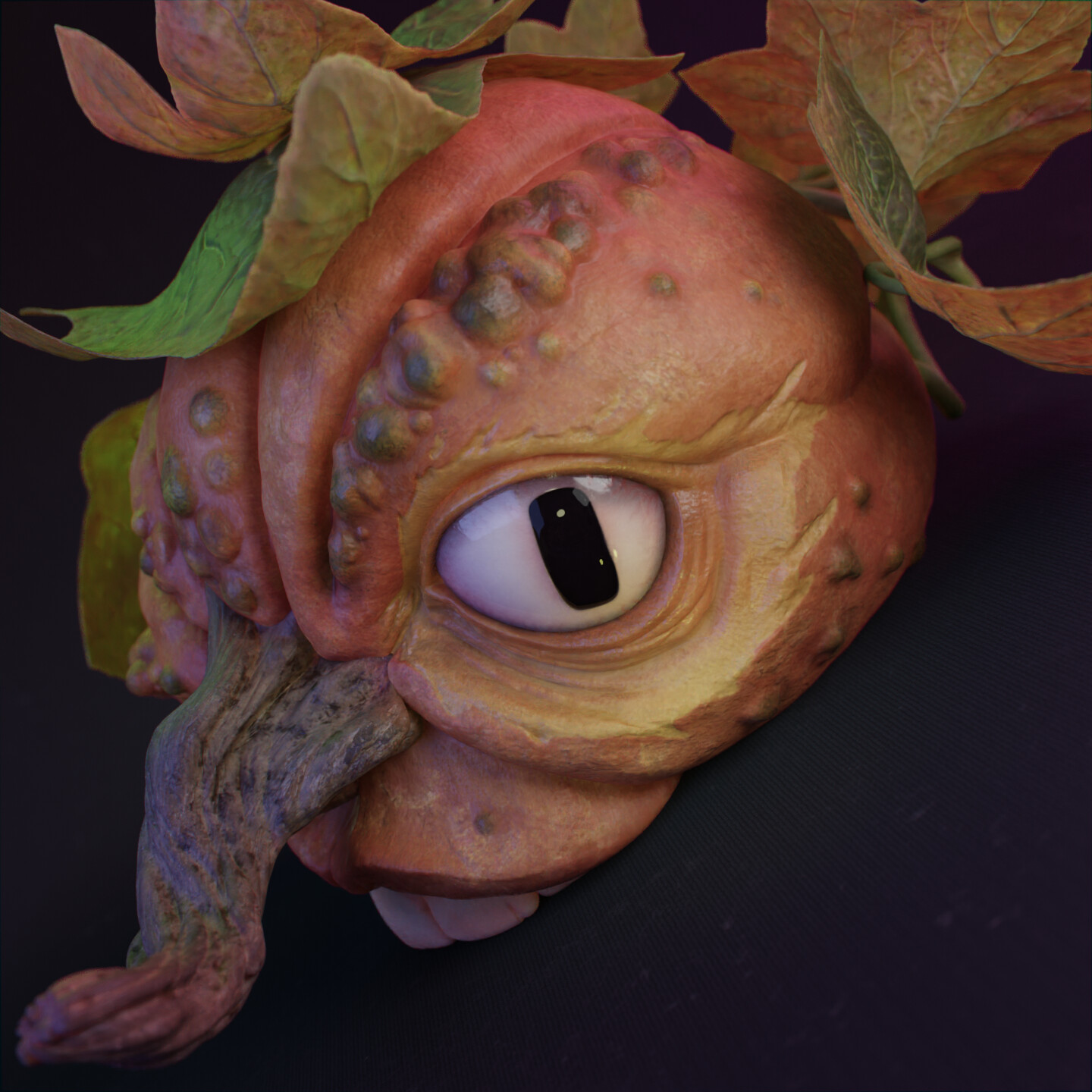 jose-david-cifuentes-ulloa-care-auyama-2