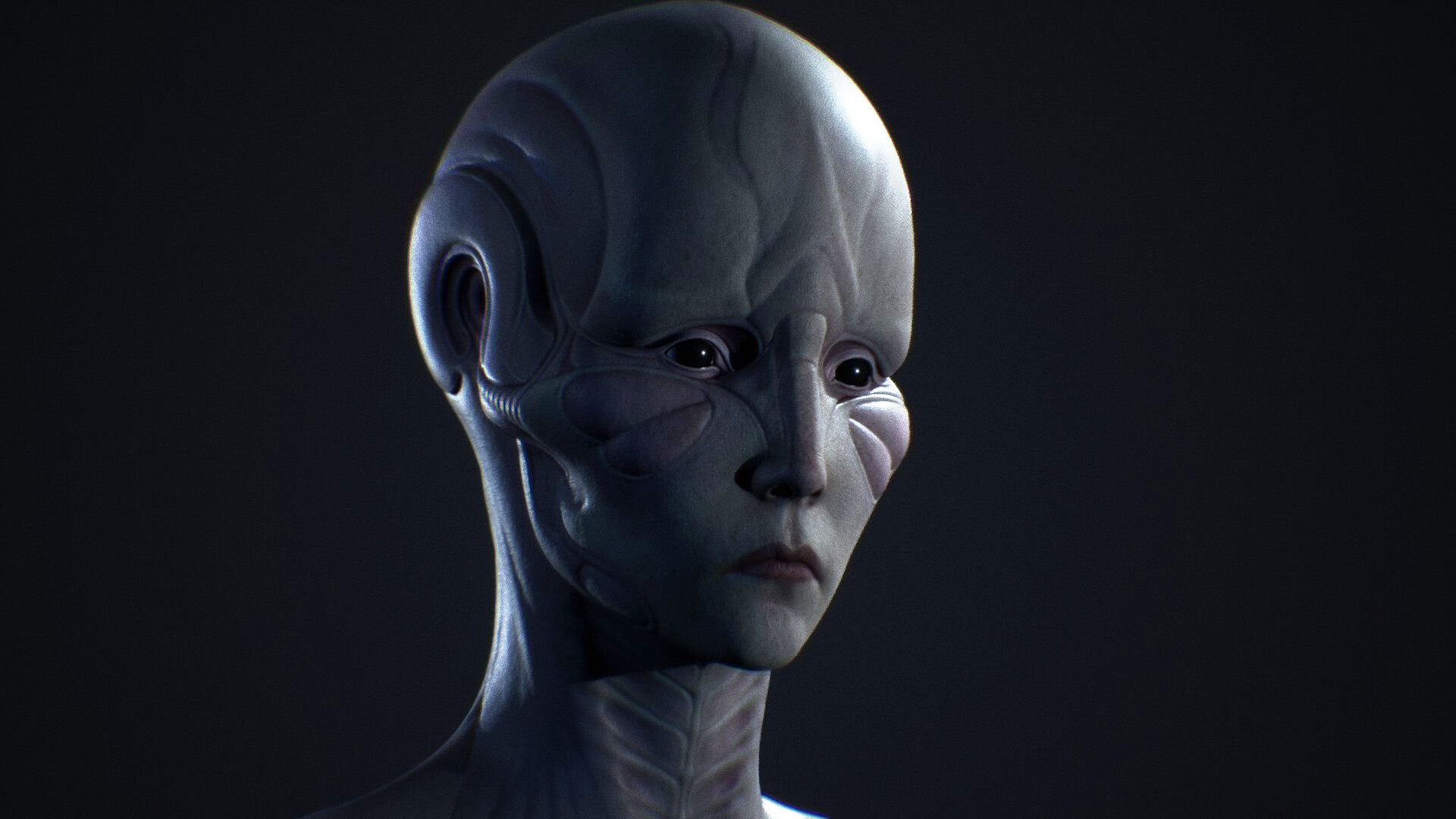 konrx-krolikowski-buttefly-4b2