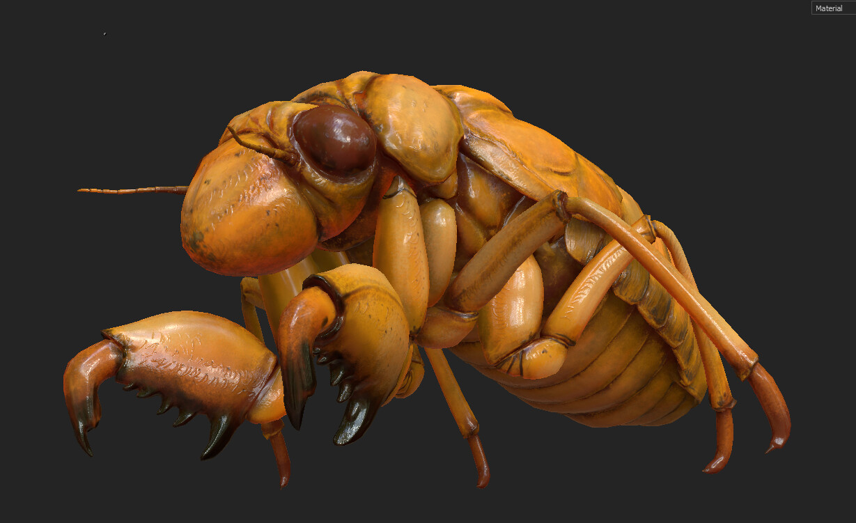 eric-keller-cicada-nymph-textured-05