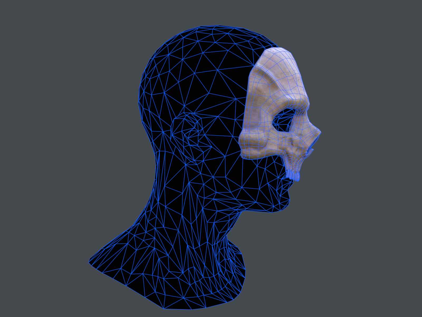 tbrender_Viewport_009