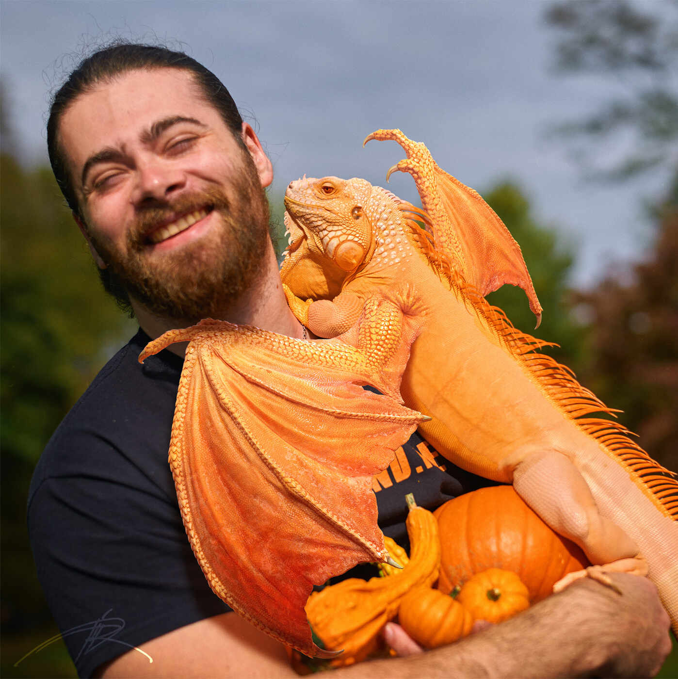 L1004673_halloween_02_1600