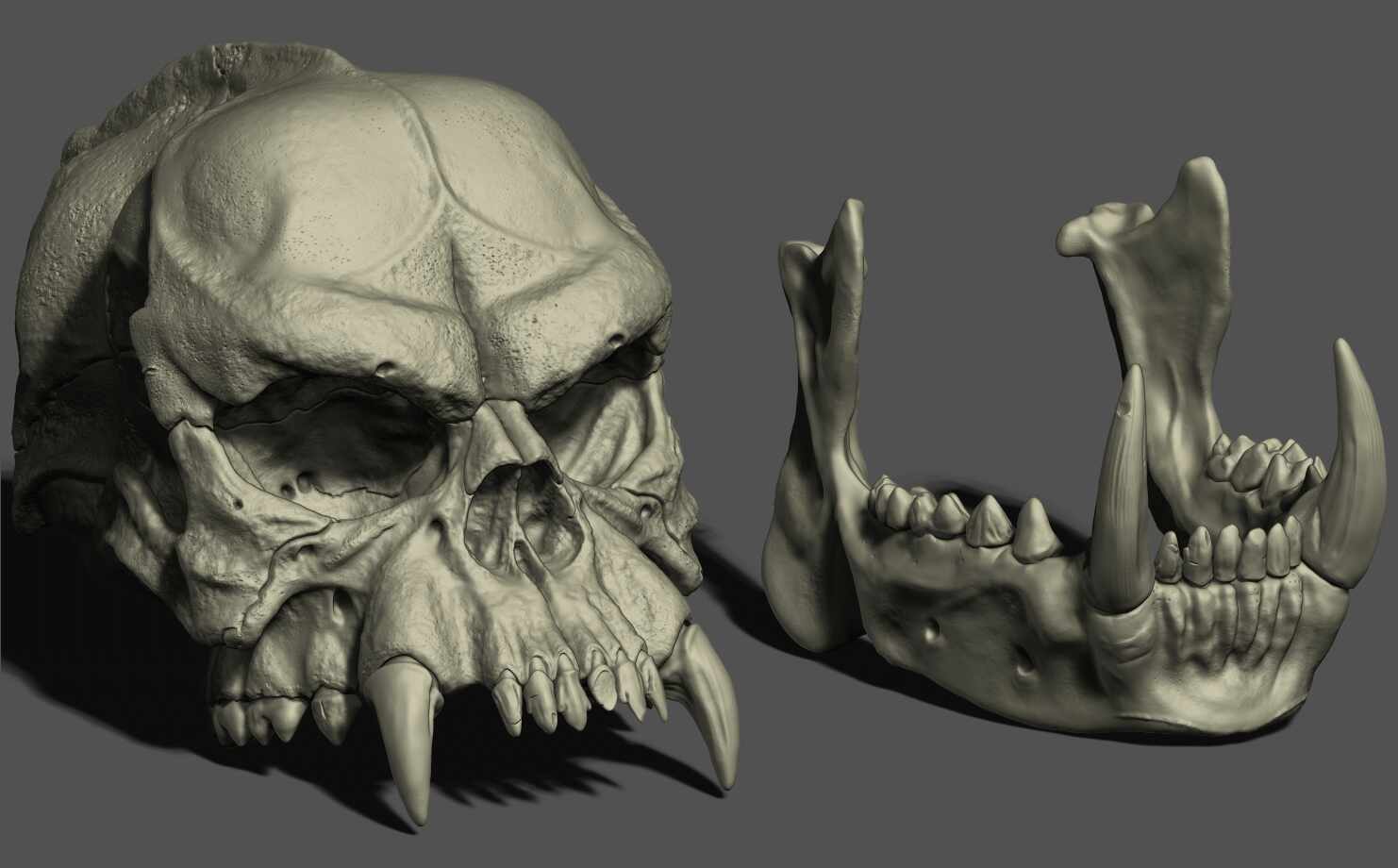BB-Skull-with jaw-3