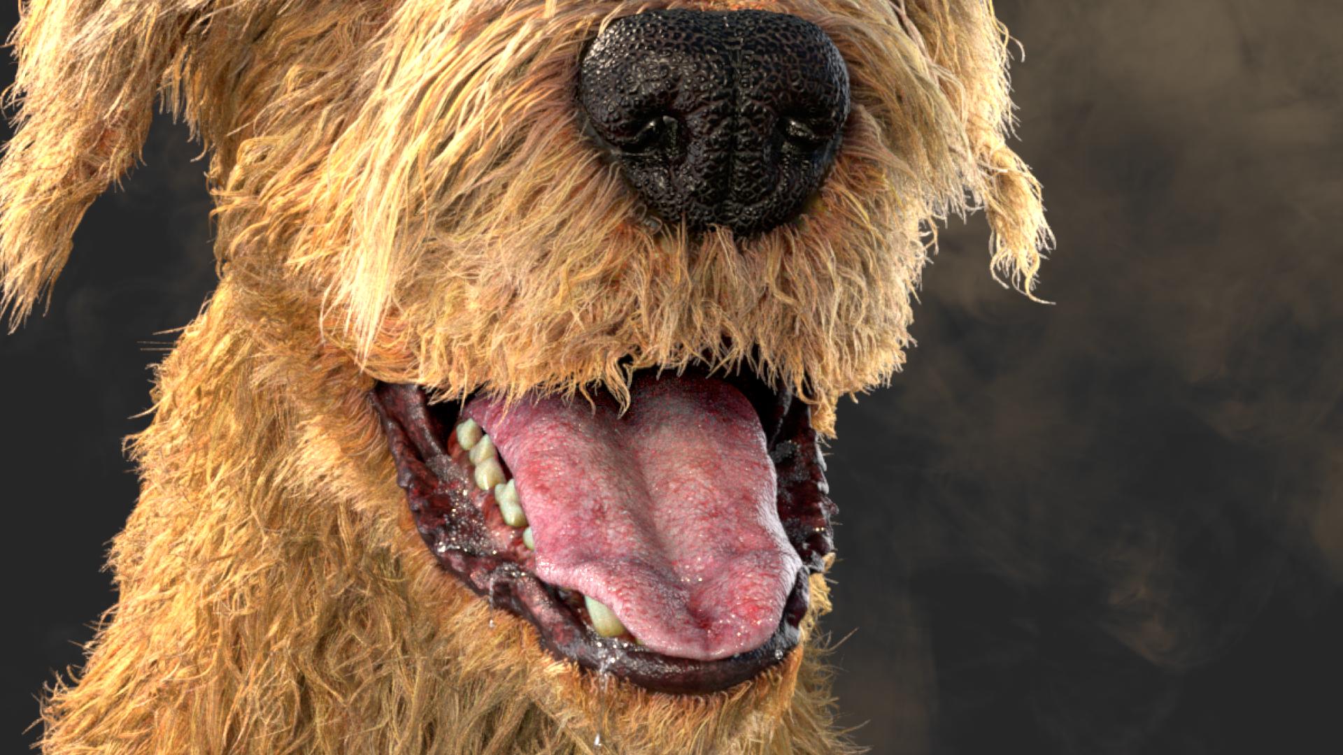 dog_ar_closeup01