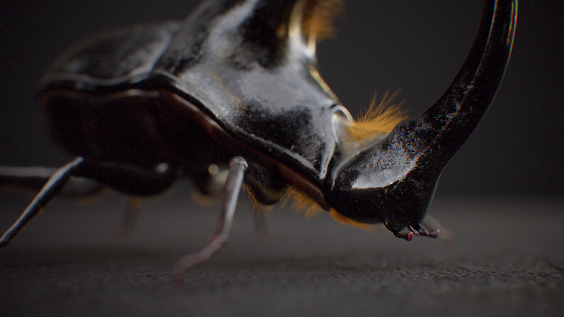 diego-viegas-tbrender-018