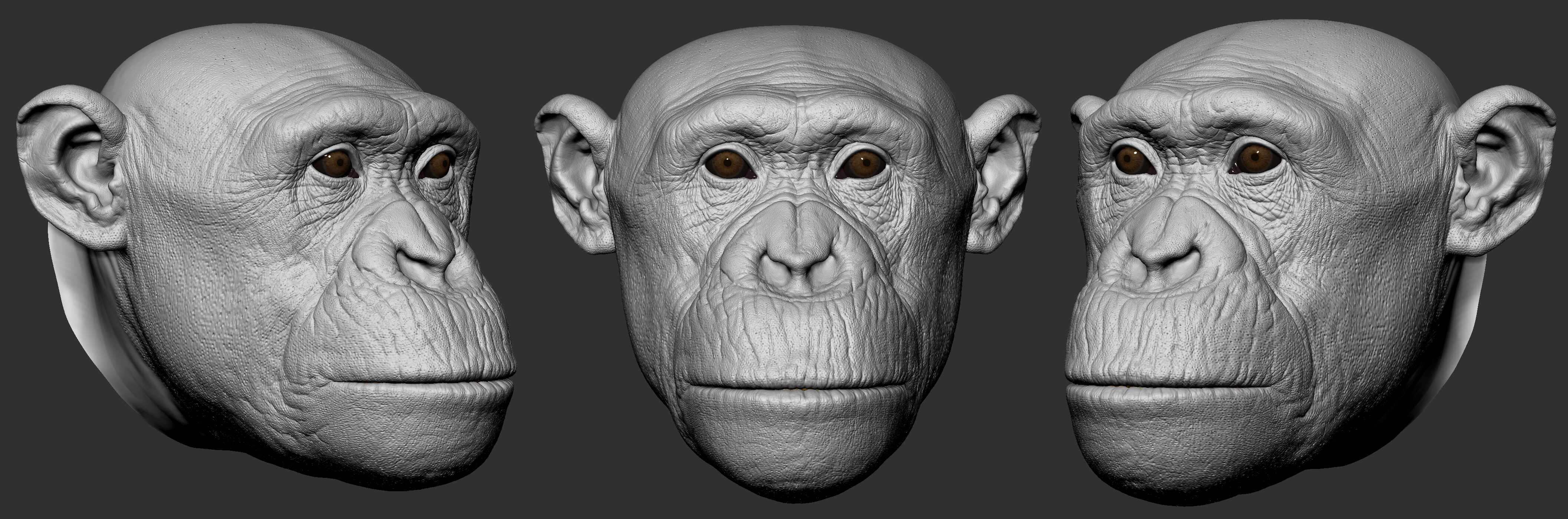 head_01