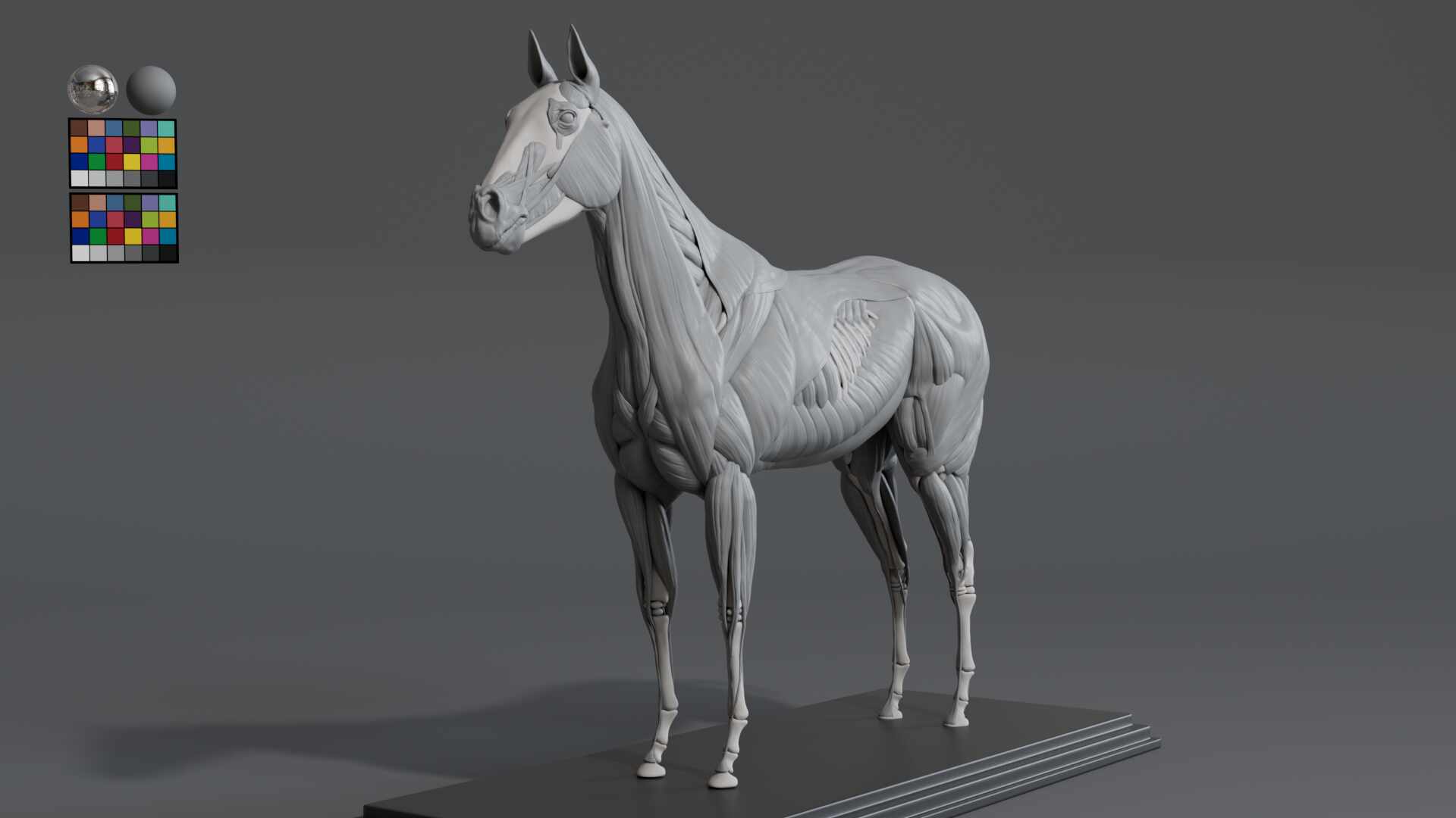 Horse_02
