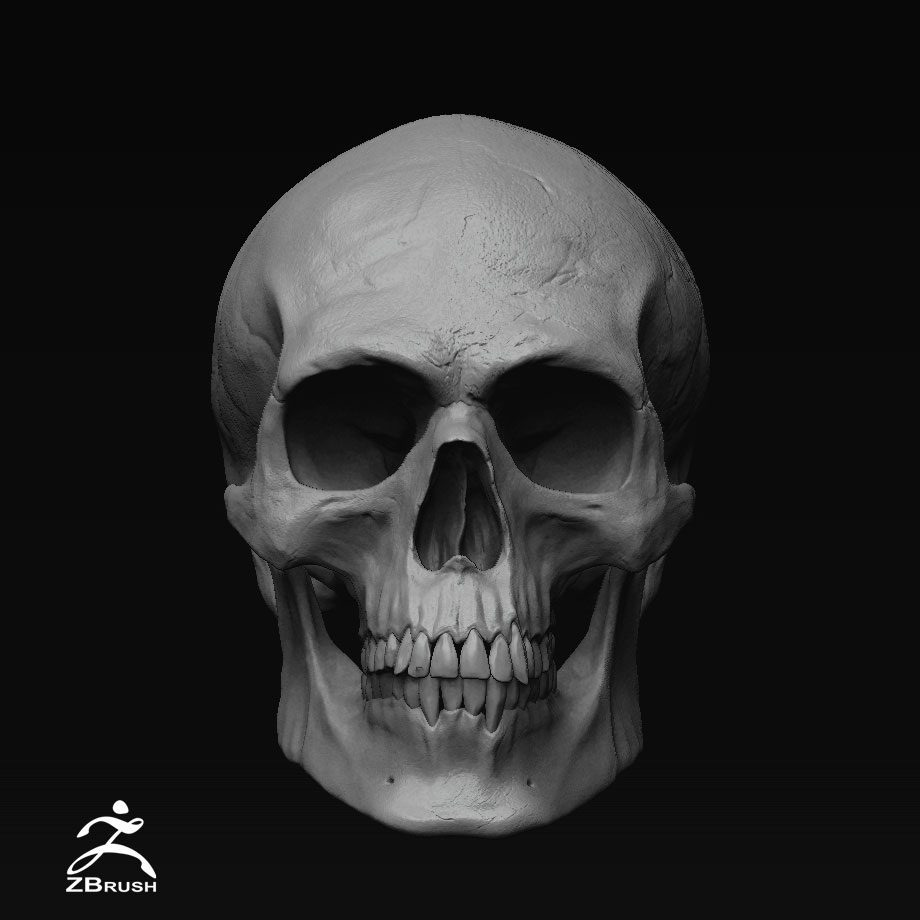 ZBrush-Document