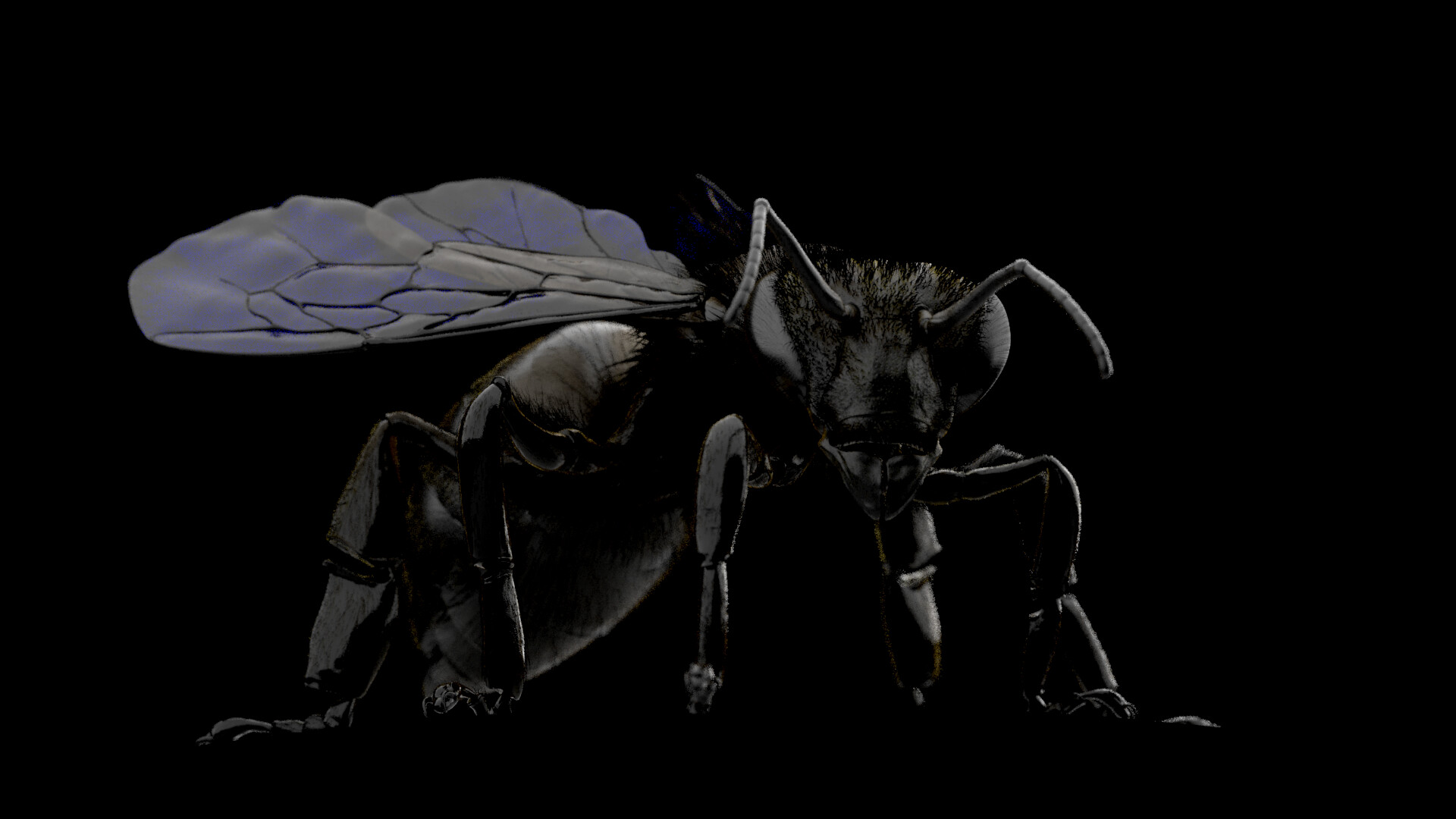 eric-keller-arnold-05-coatpost