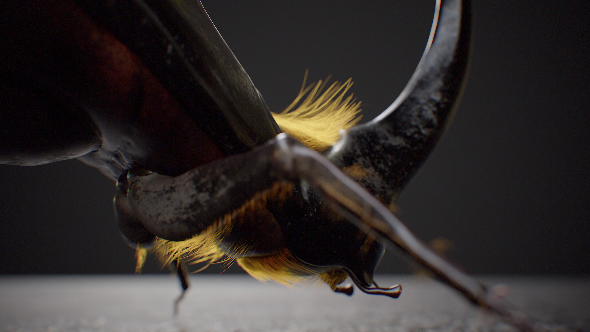 diego-viegas-tbrender-021