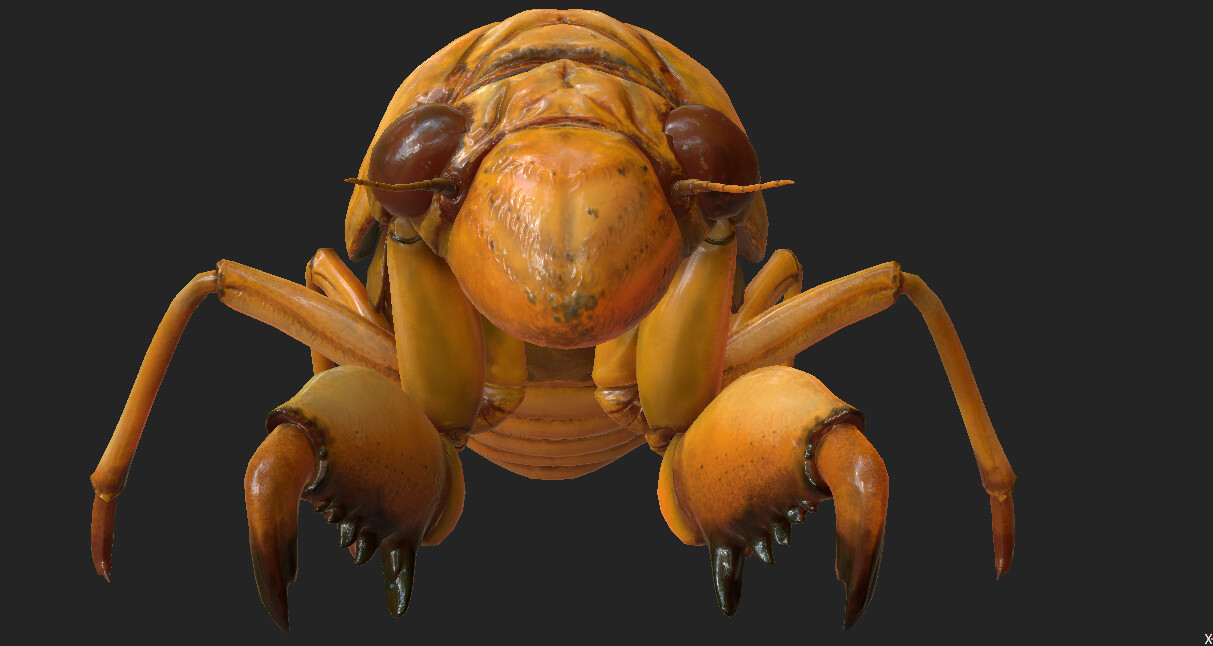 eric-keller-cicada-nymph-textured-02