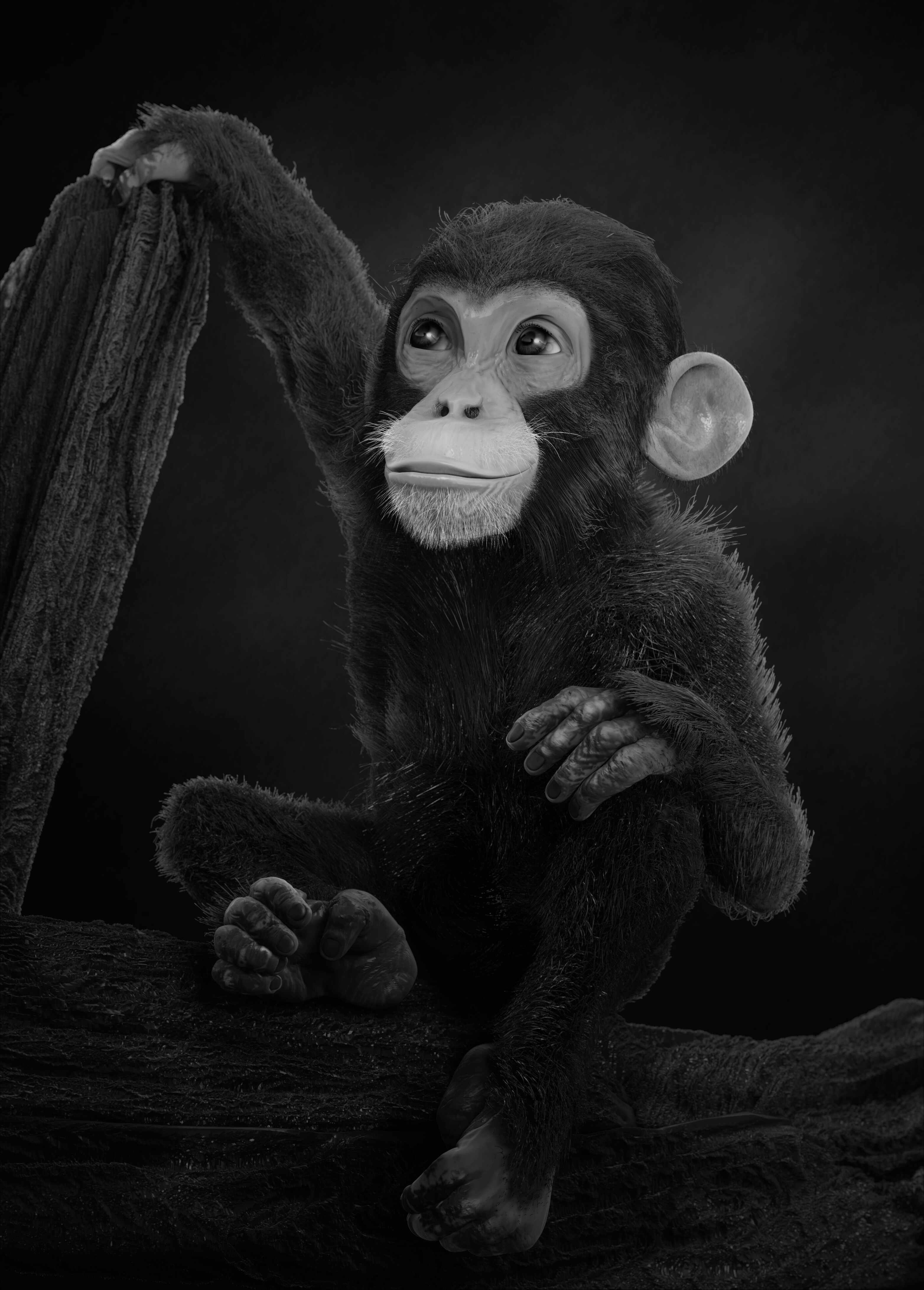 Chimp_001_2022 bw (3)