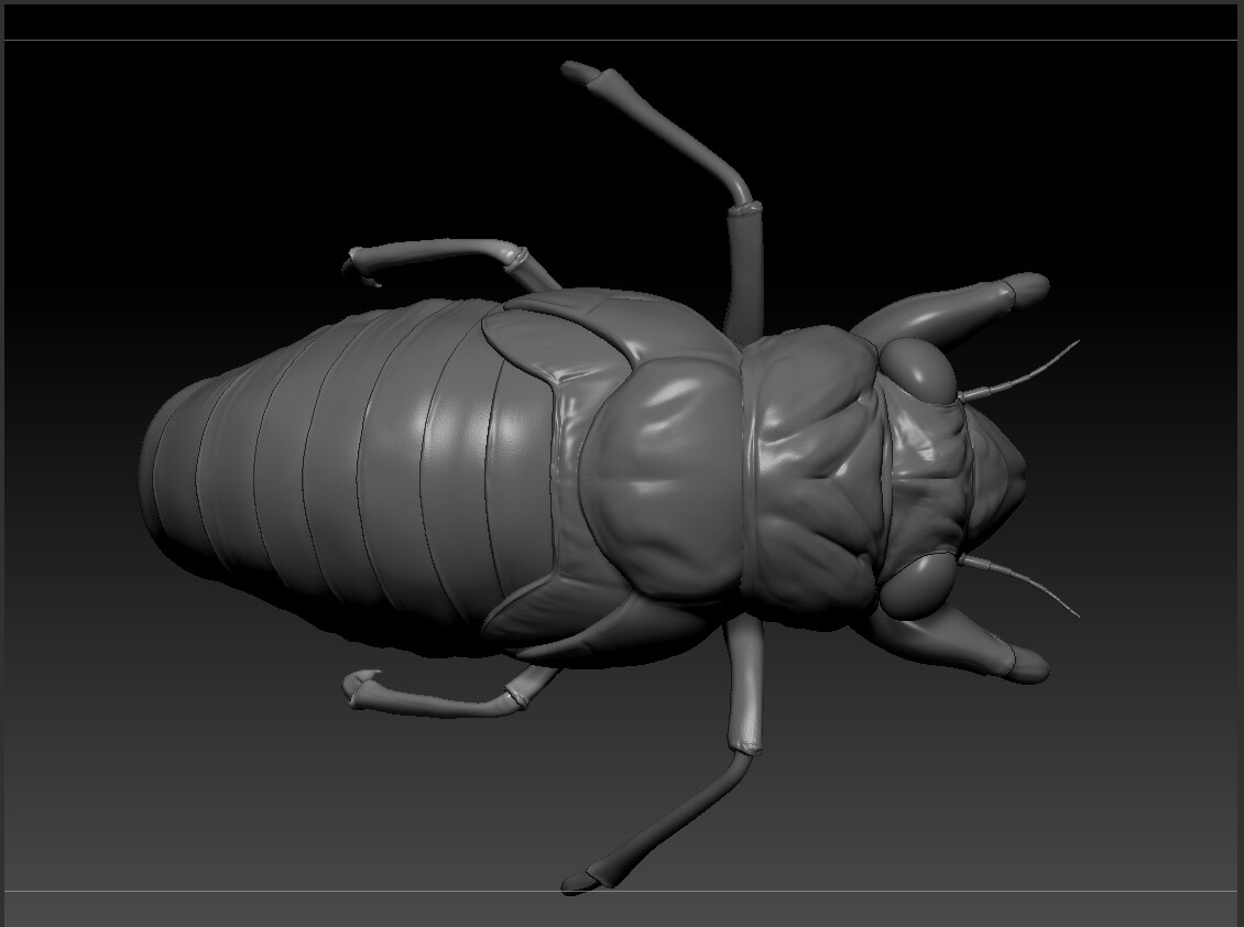 eric-keller-cicdada-nymph-zbrush-02