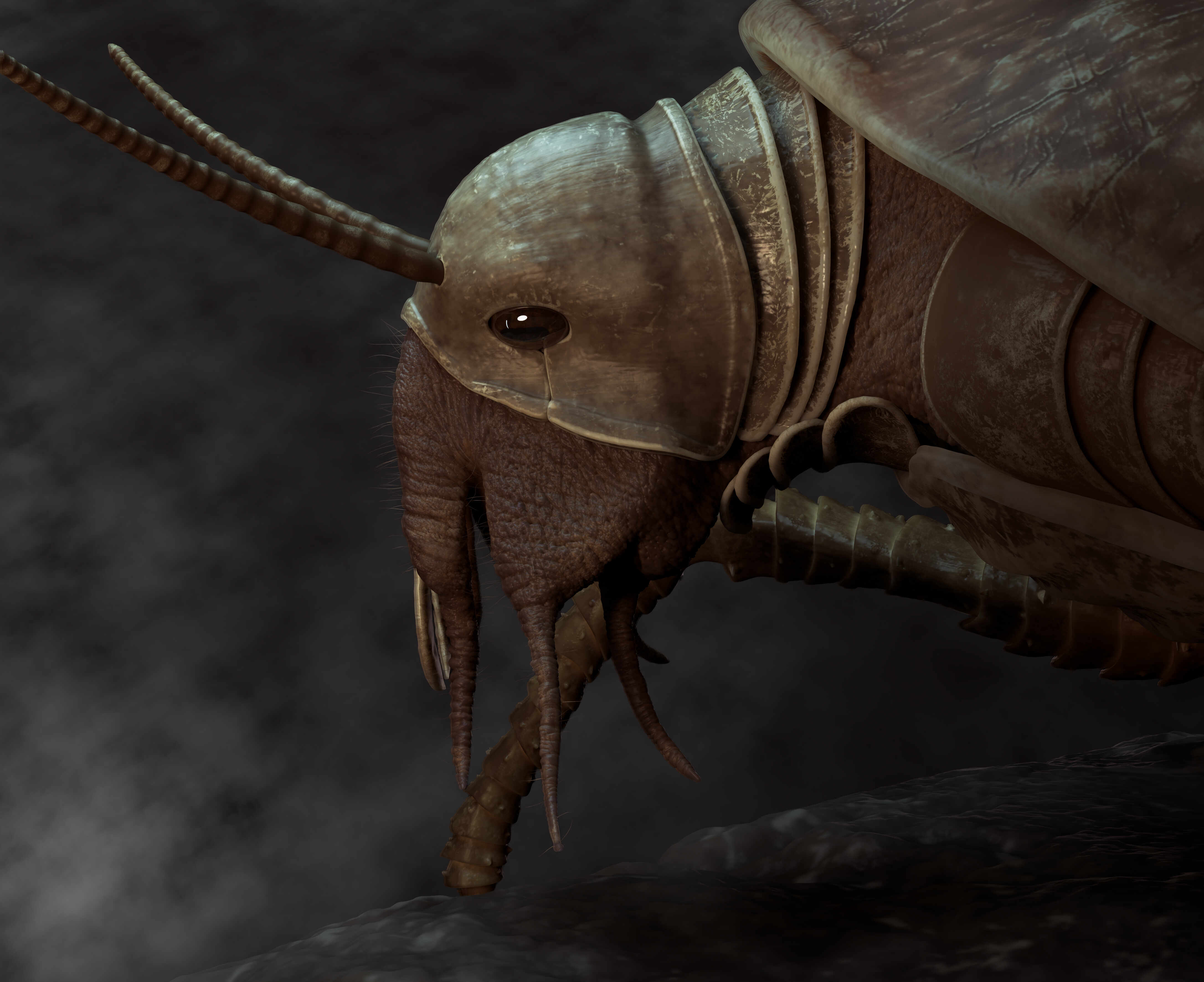 Creature-SideFace-Fog