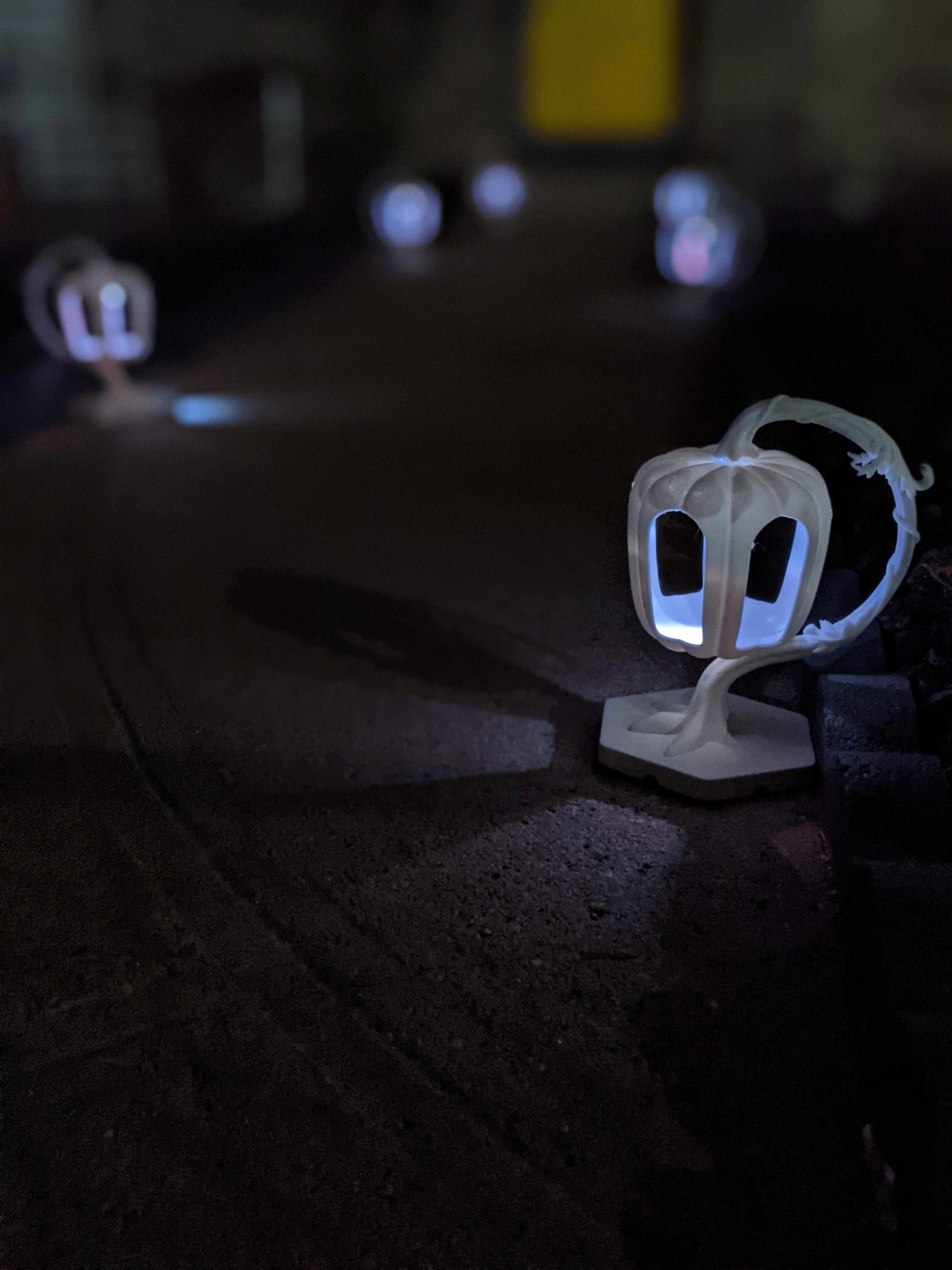 PXL_20211024_010624203.PORTRAIT