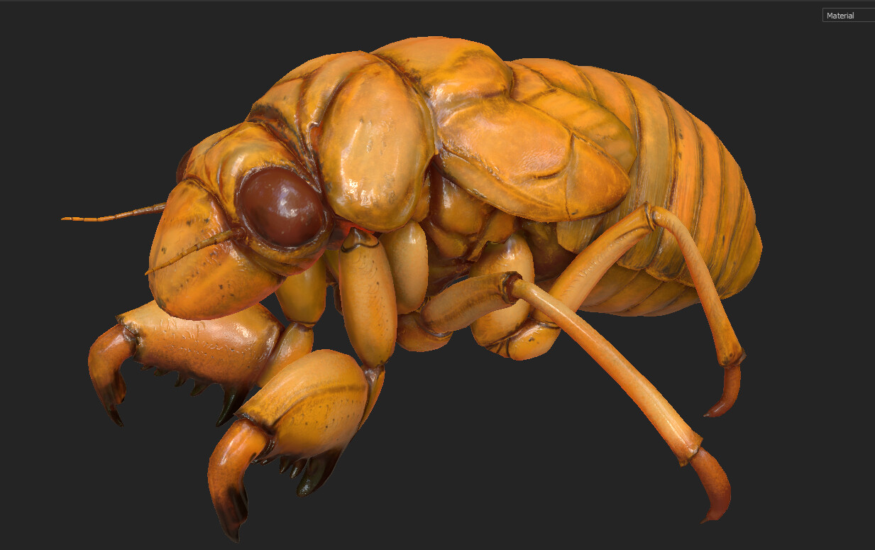 eric-keller-cicada-nymph-textured-04