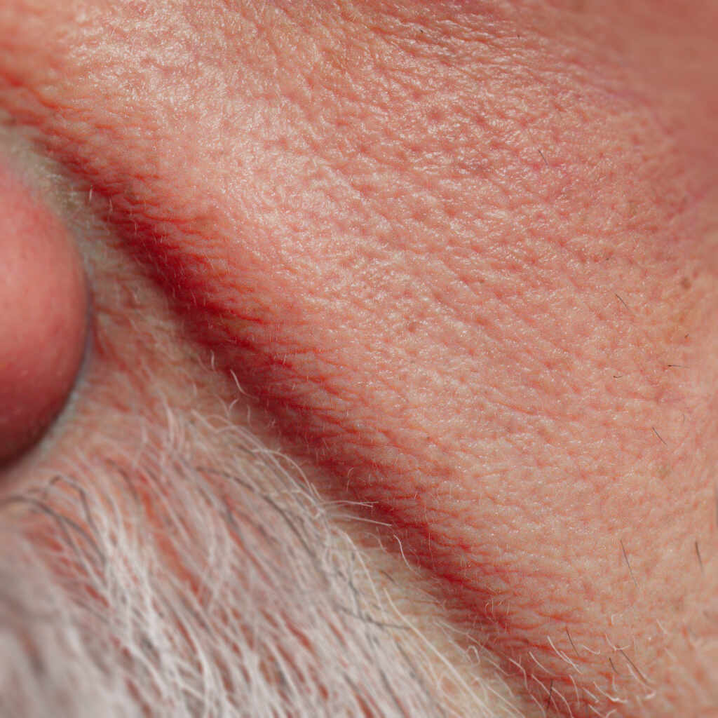 freud by vahid ahmadi14