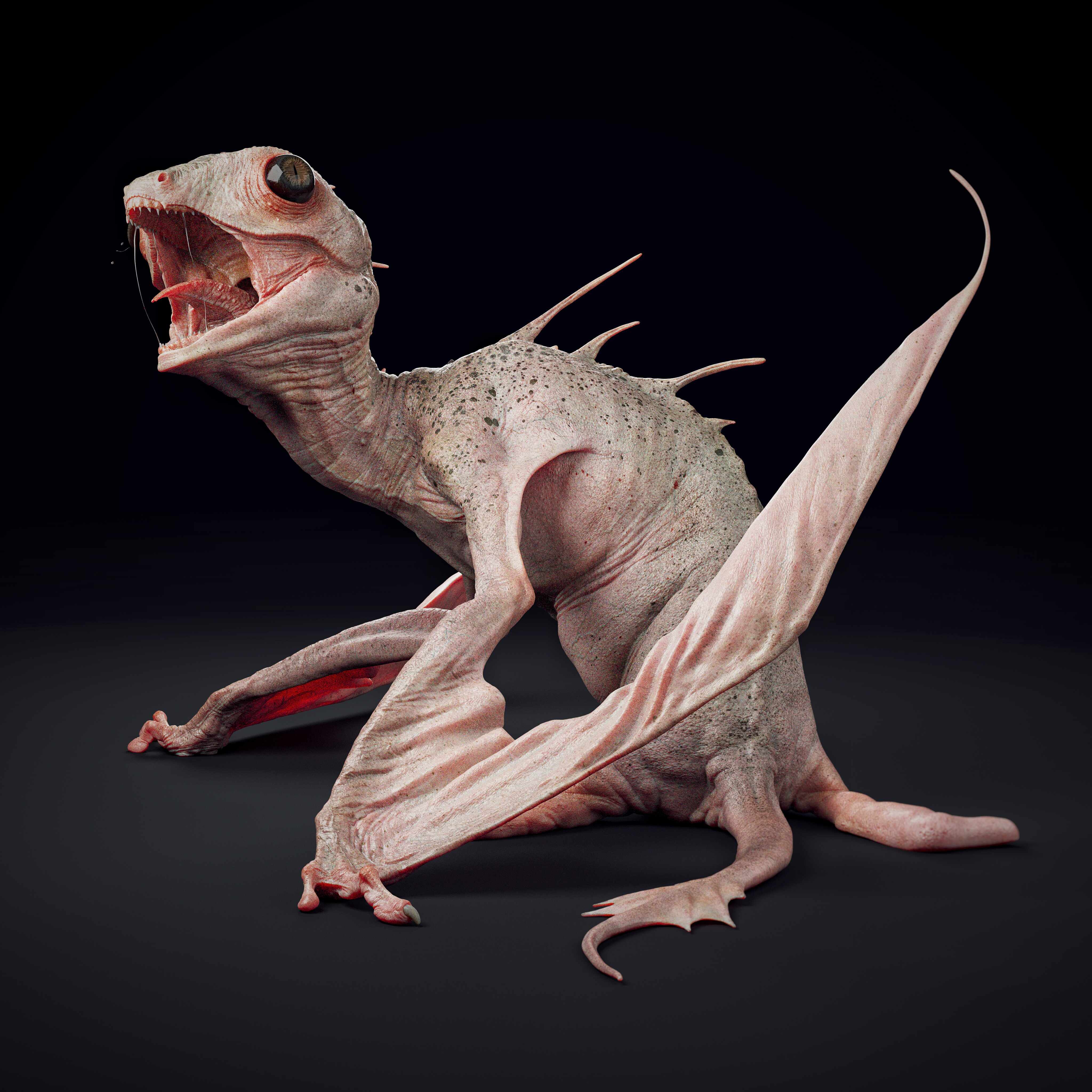 forgottenHatchling_9