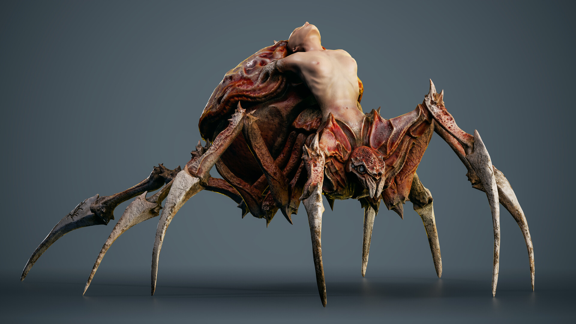 anna-siebenhandl-side-turn