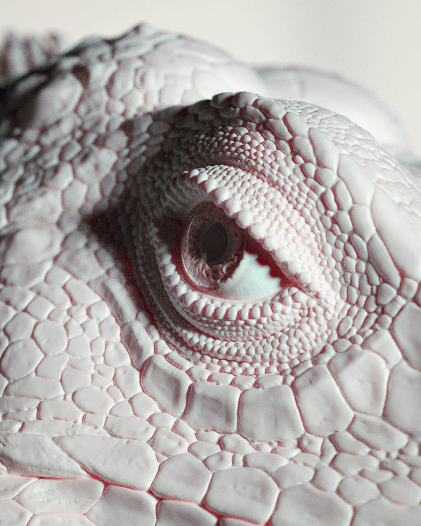 685F4812-9254-48D4-8BD4-8A8498BDEC1F