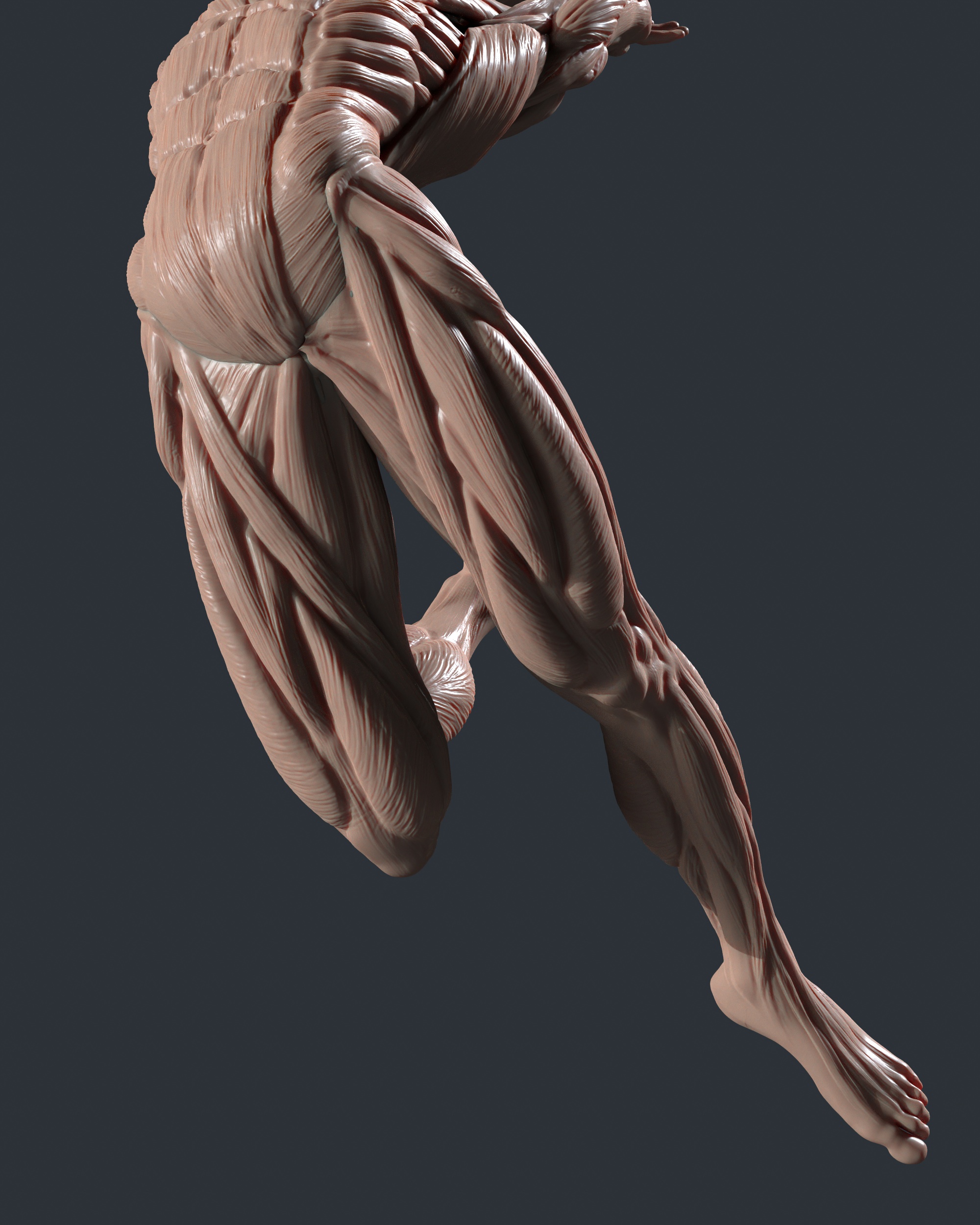 tbrender_Viewport_017