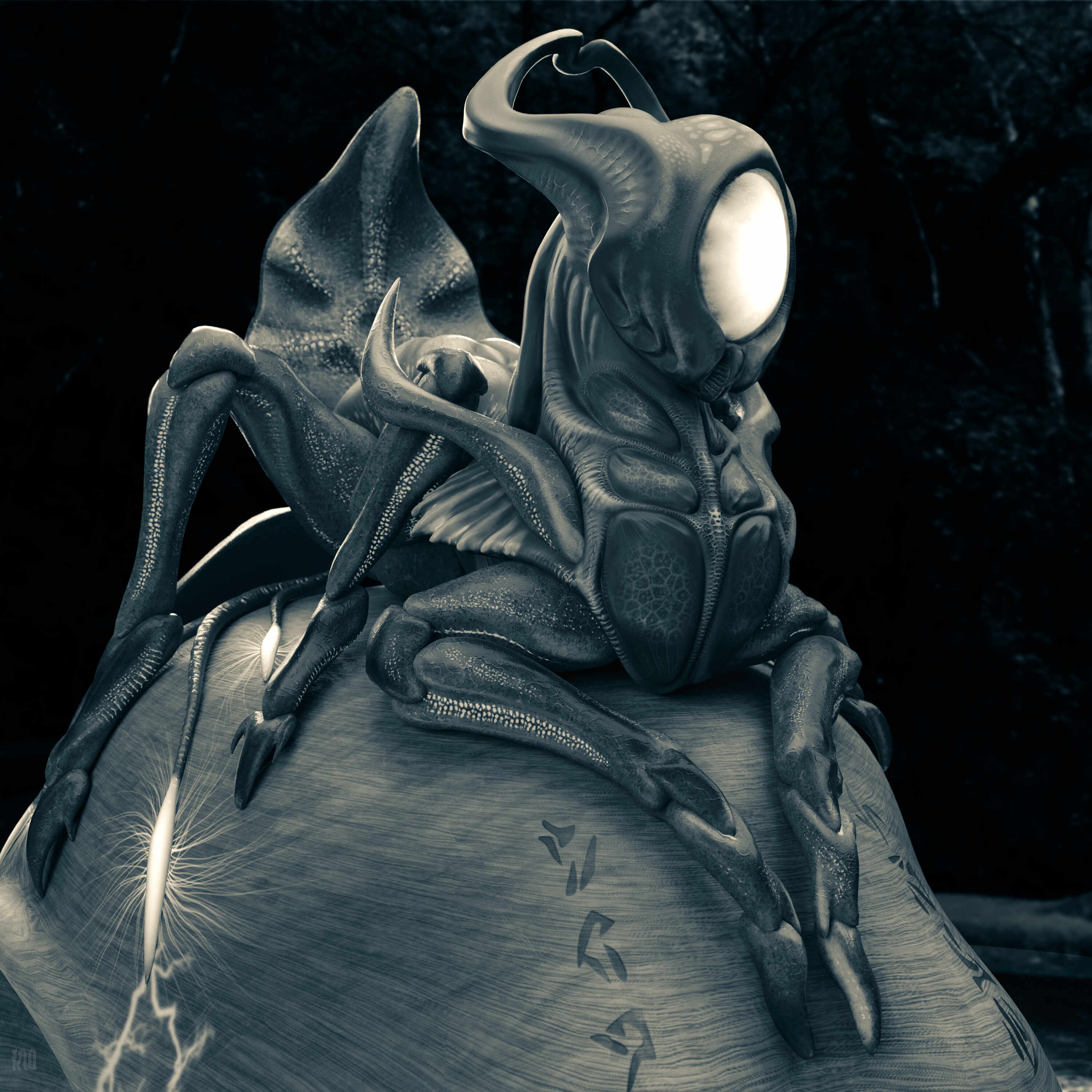 oracle main fin clo bw H