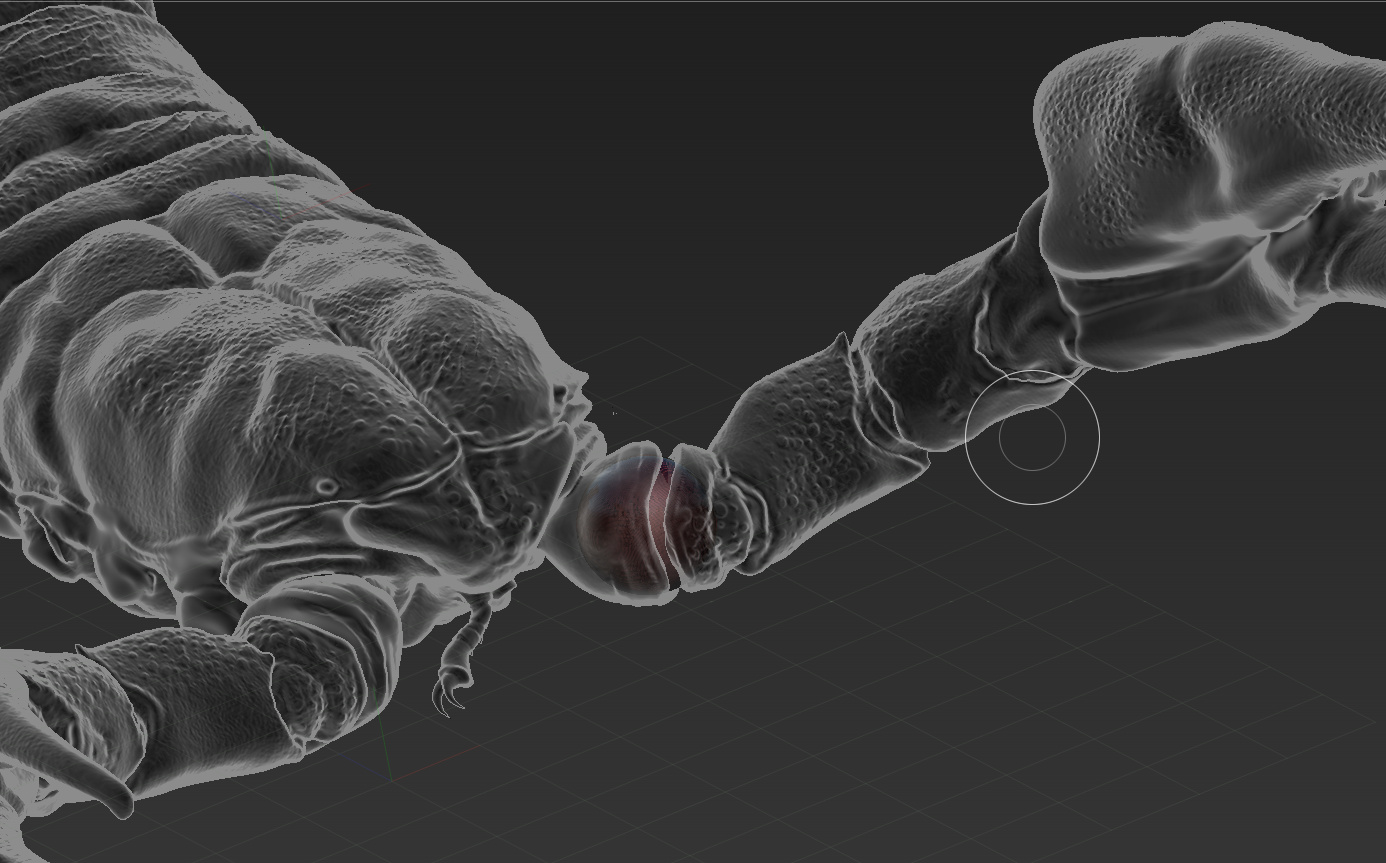 Screen Shot 2016-02-01 at 12.01.18 PM.jpg