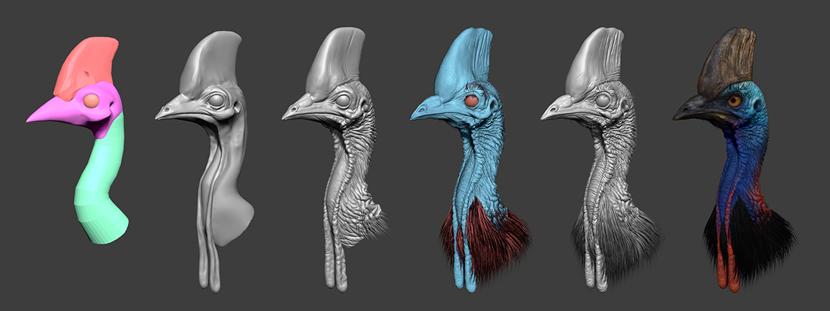 Cassowary_process