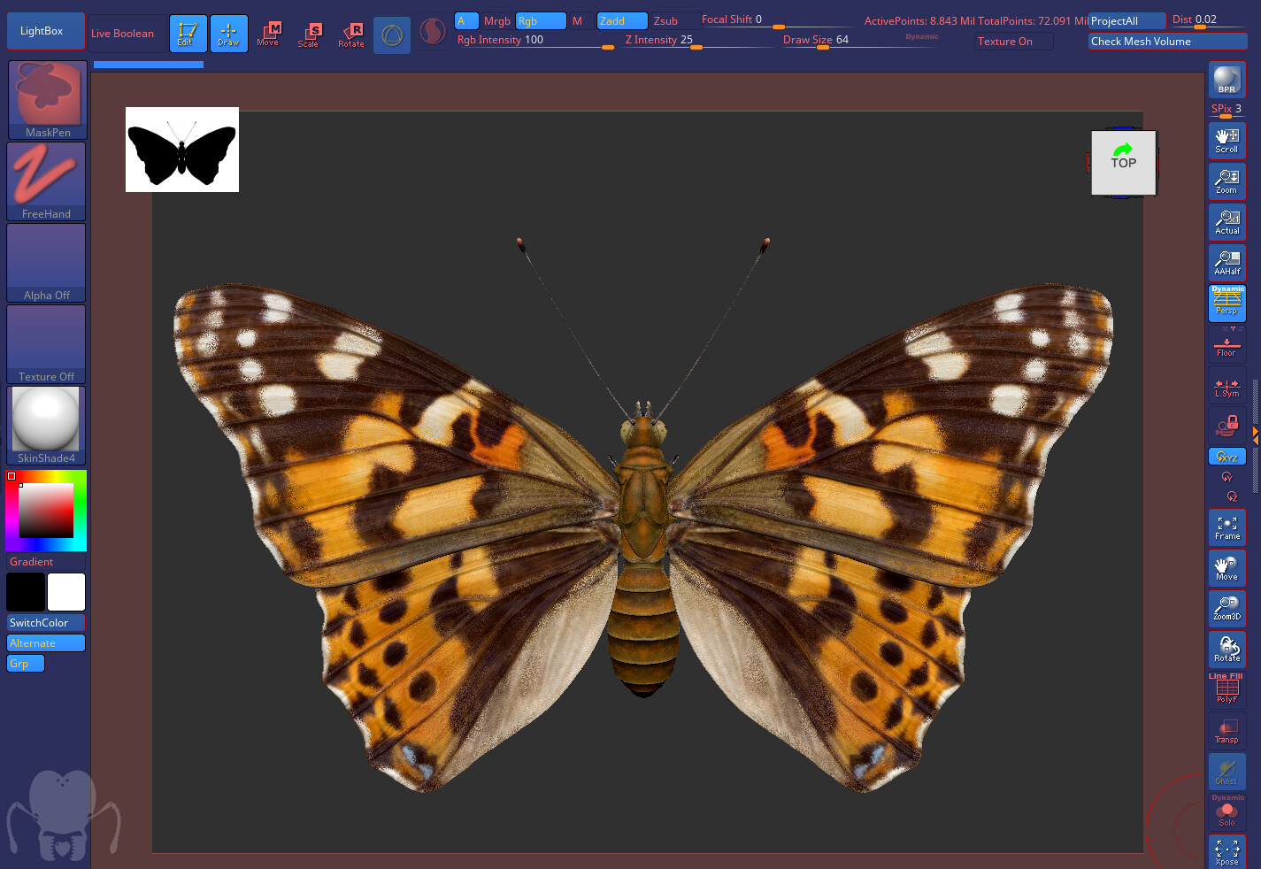 eric-keller-keller-butterfly-zb-sg-01