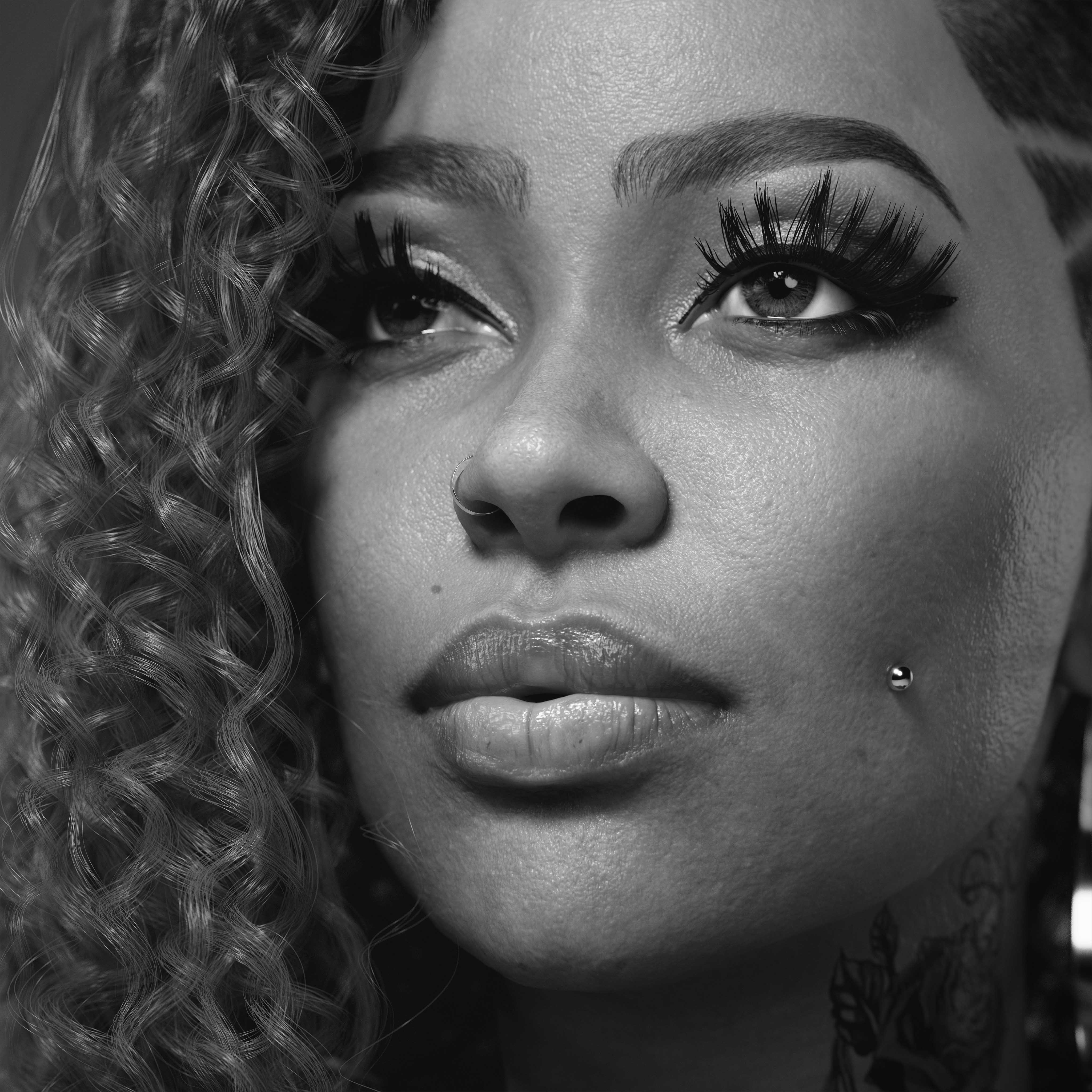 FoxyRed002_BlackWhite