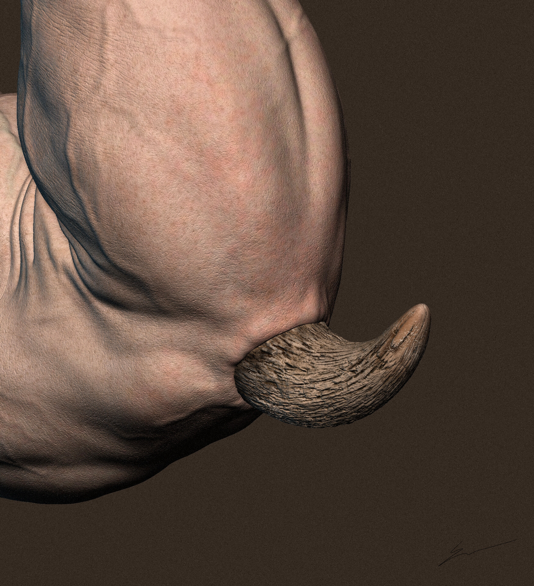 sculpting_shadows-imageonline-co-noisedimage-6