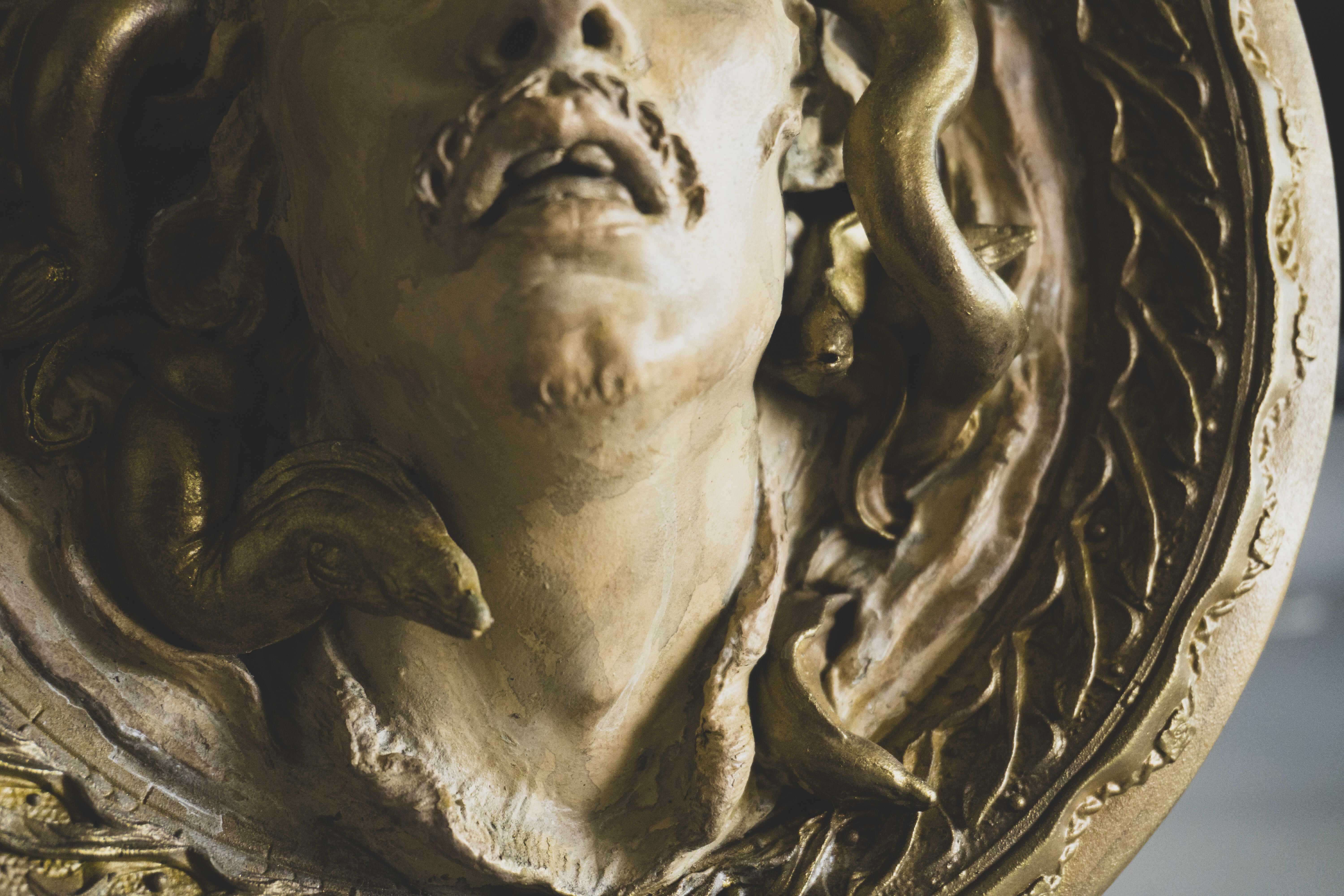 plateOfDespair_proto__9