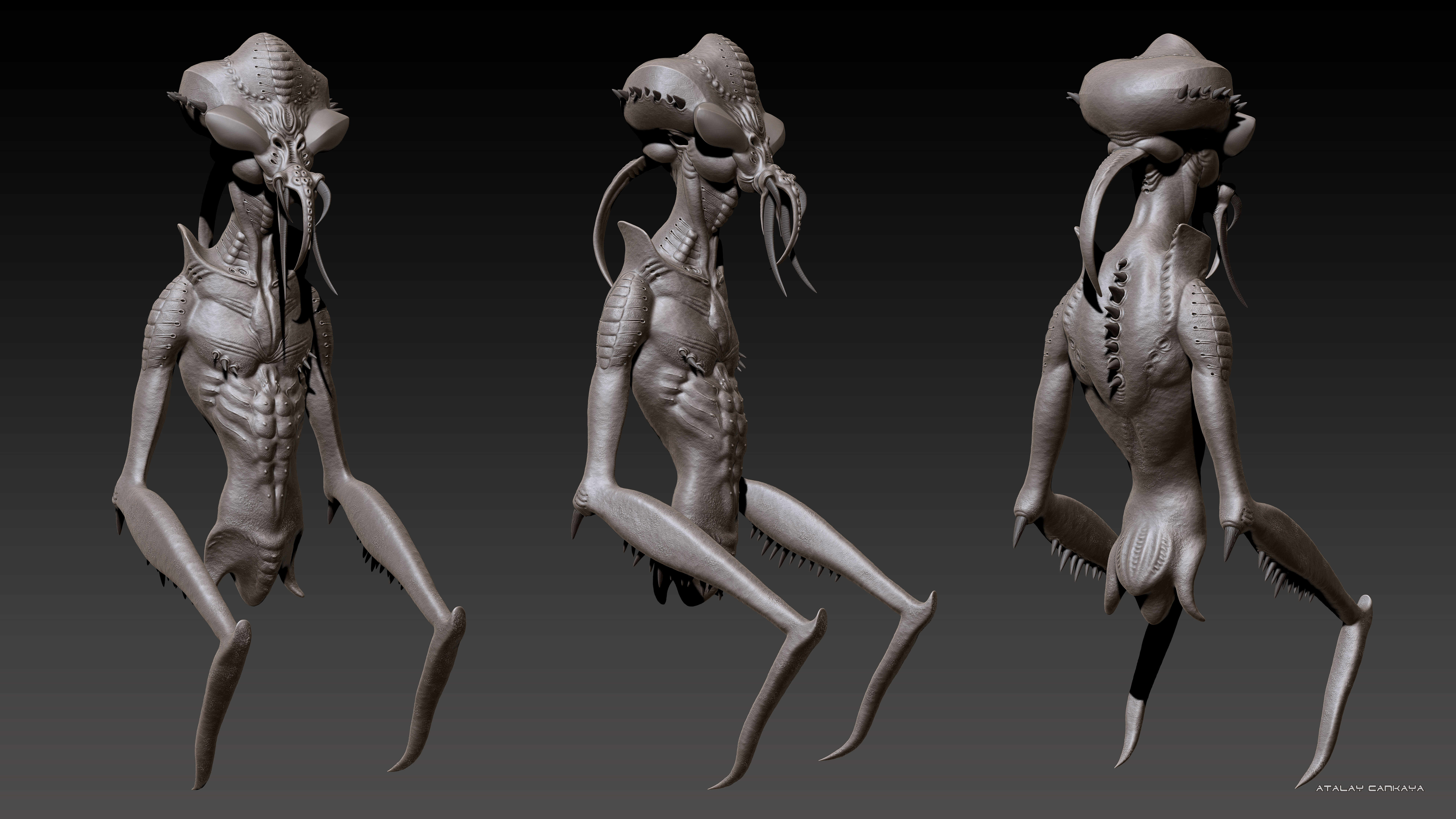 Hunter Insect - Clay 1