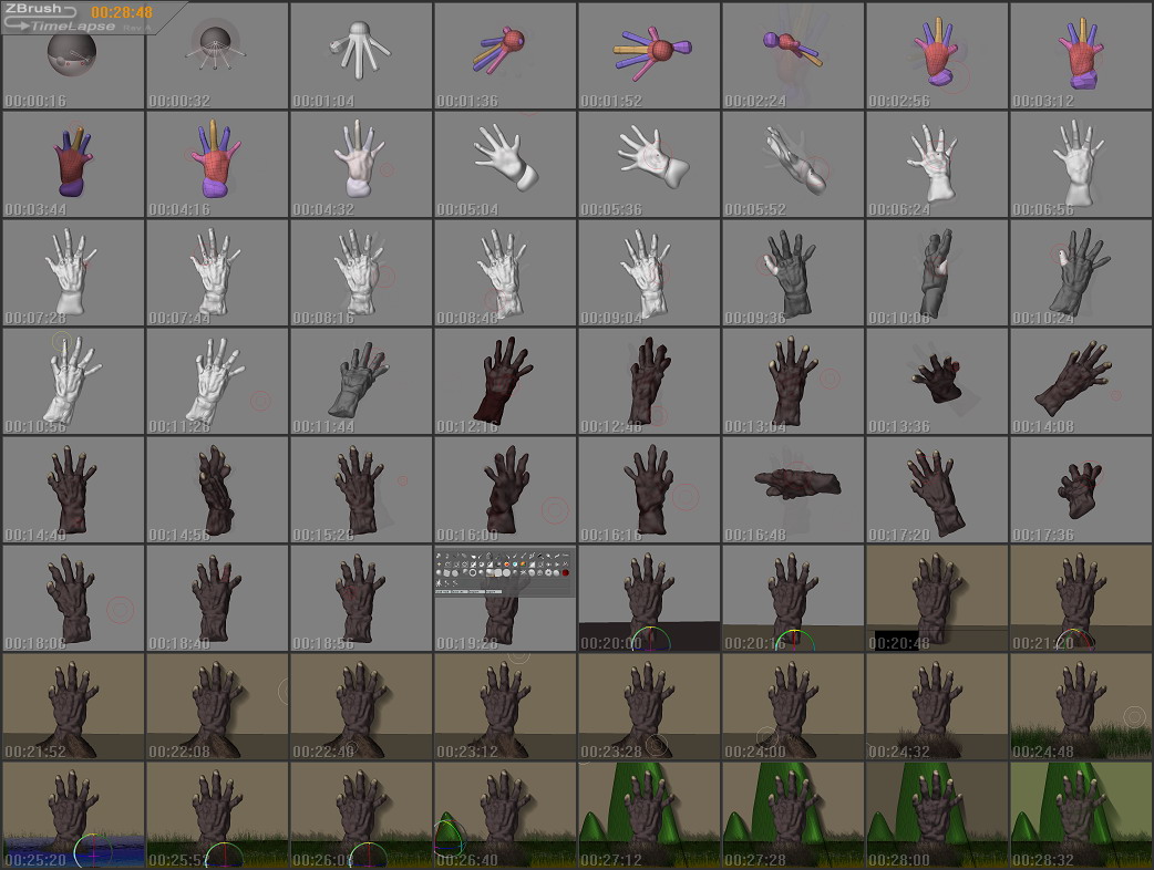 ZTimeLapseImage My Hands Final.jpg