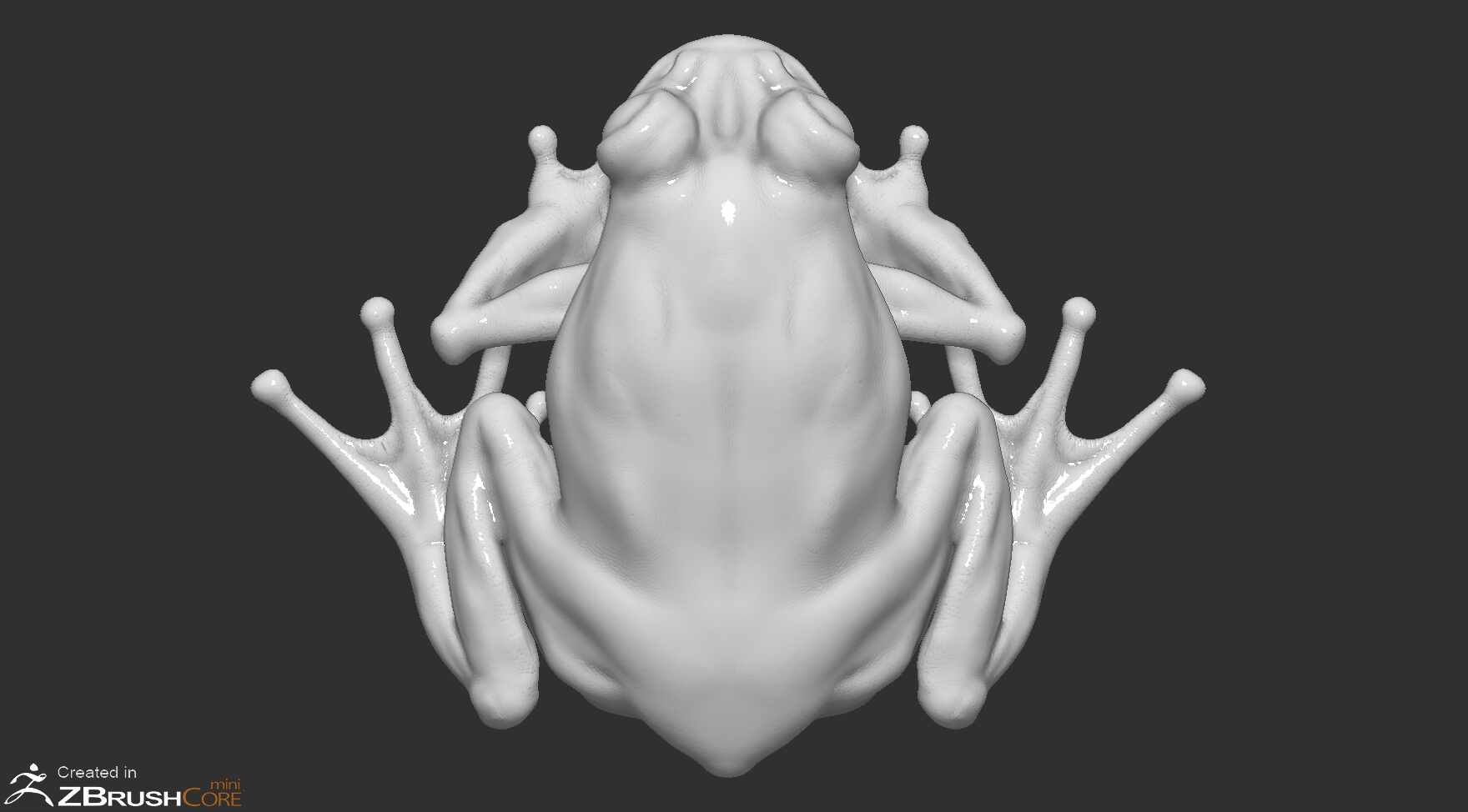 frog2