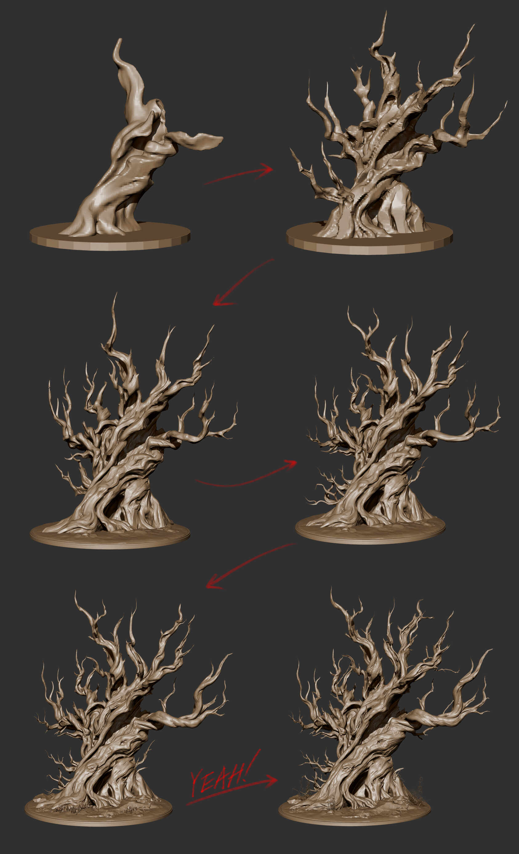 Pinus balfouriana Balf_4