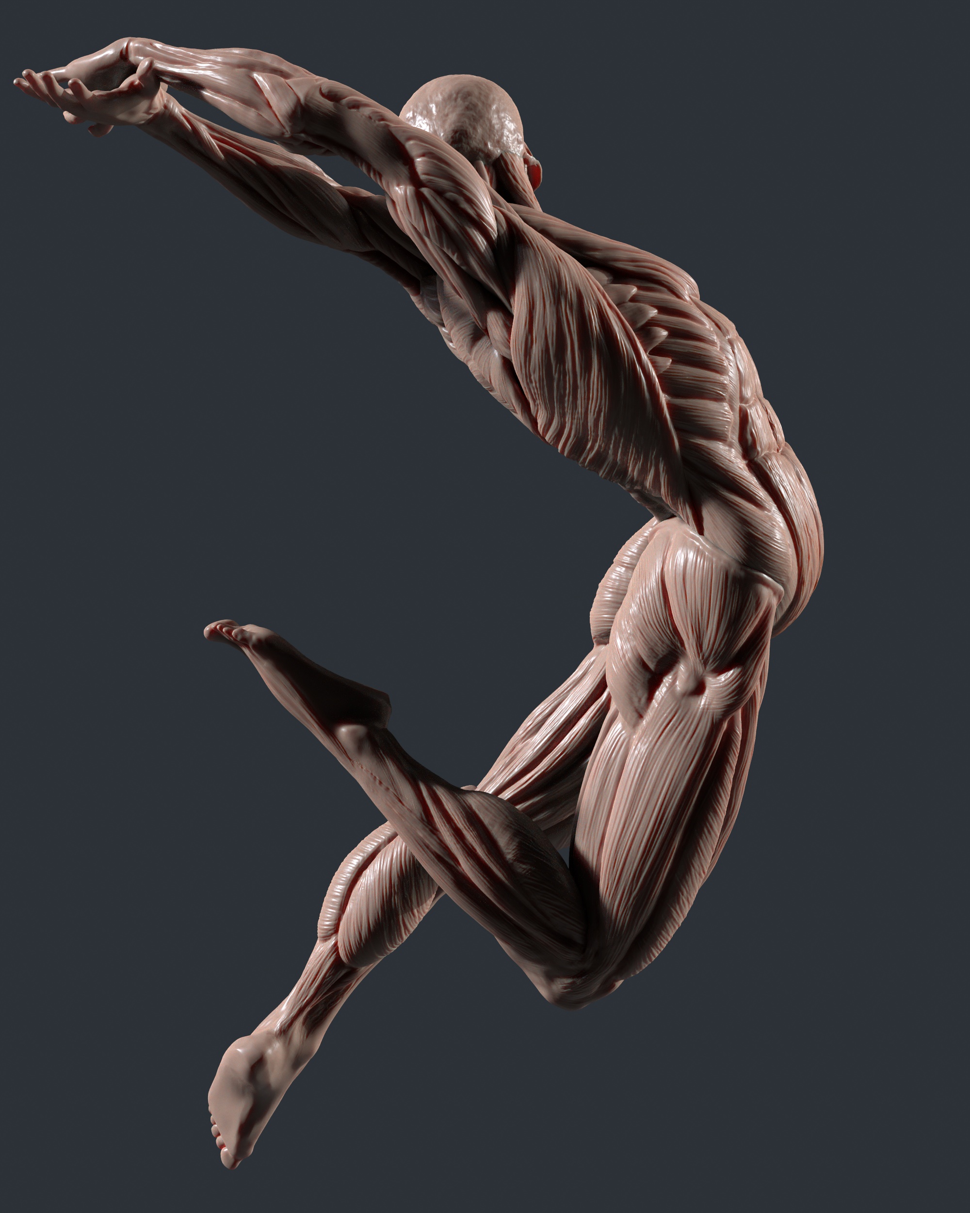 tbrender_Viewport_006