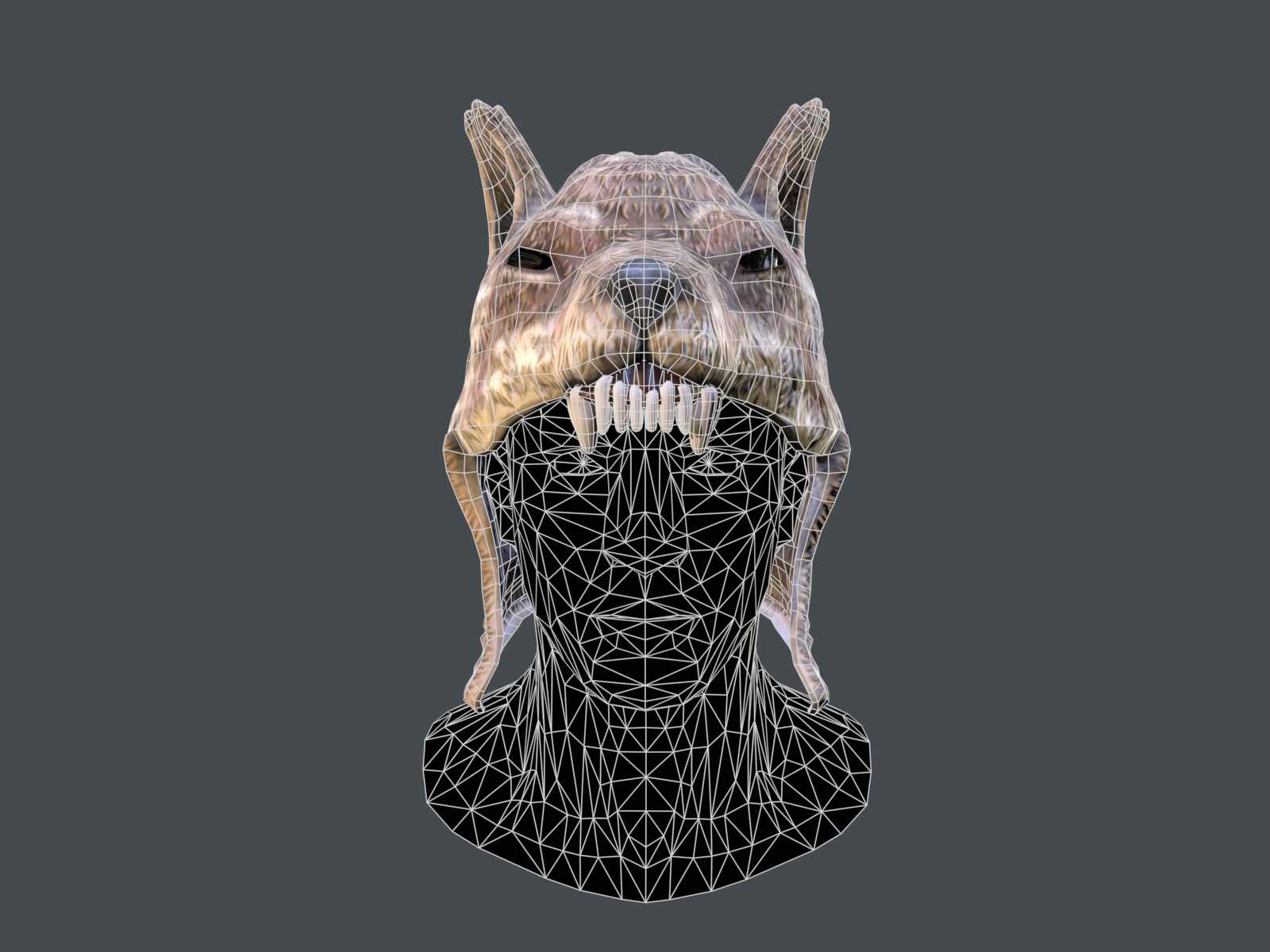 tbrender_Viewport_003